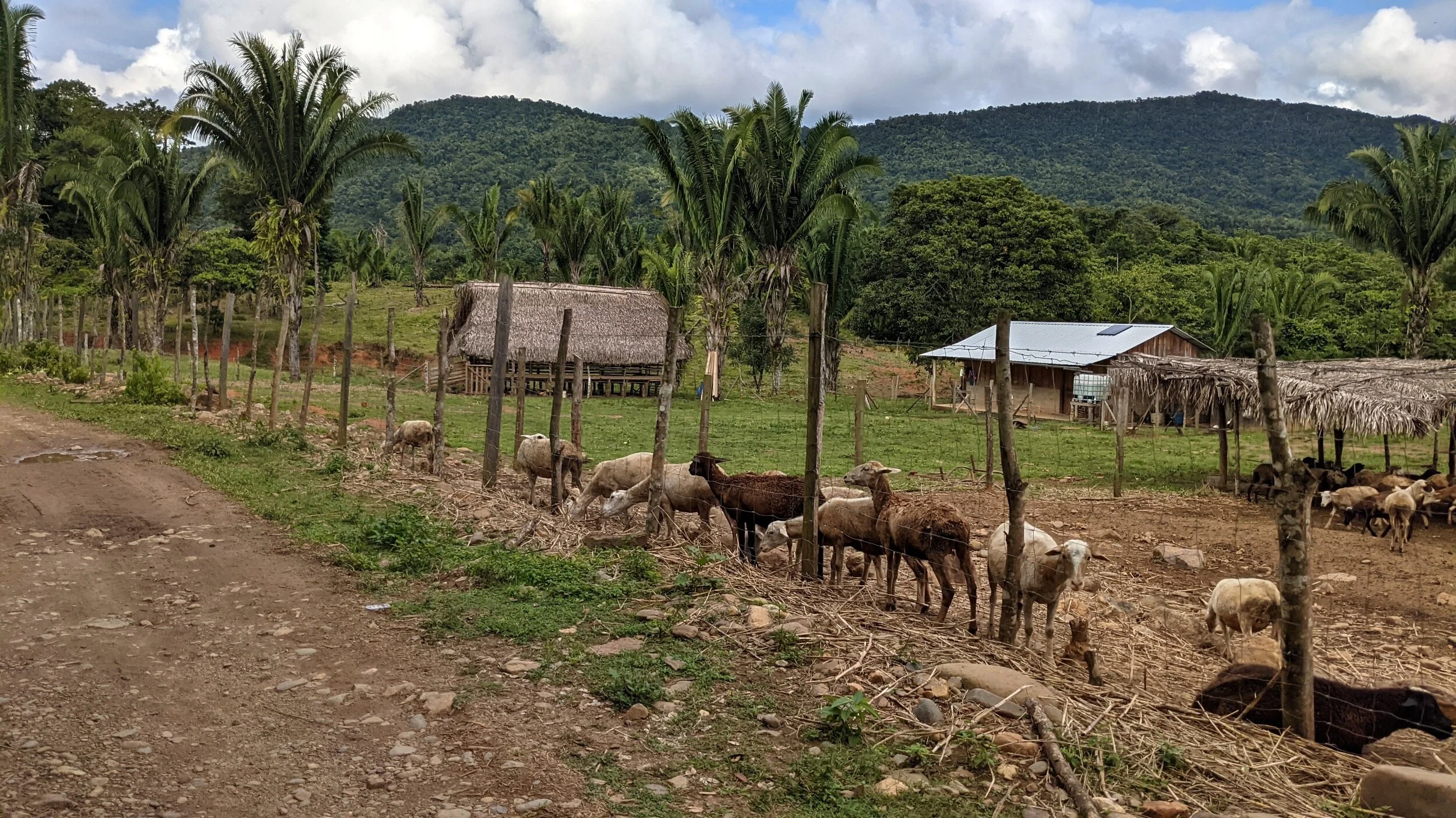 Belize is a Beautiful Bust