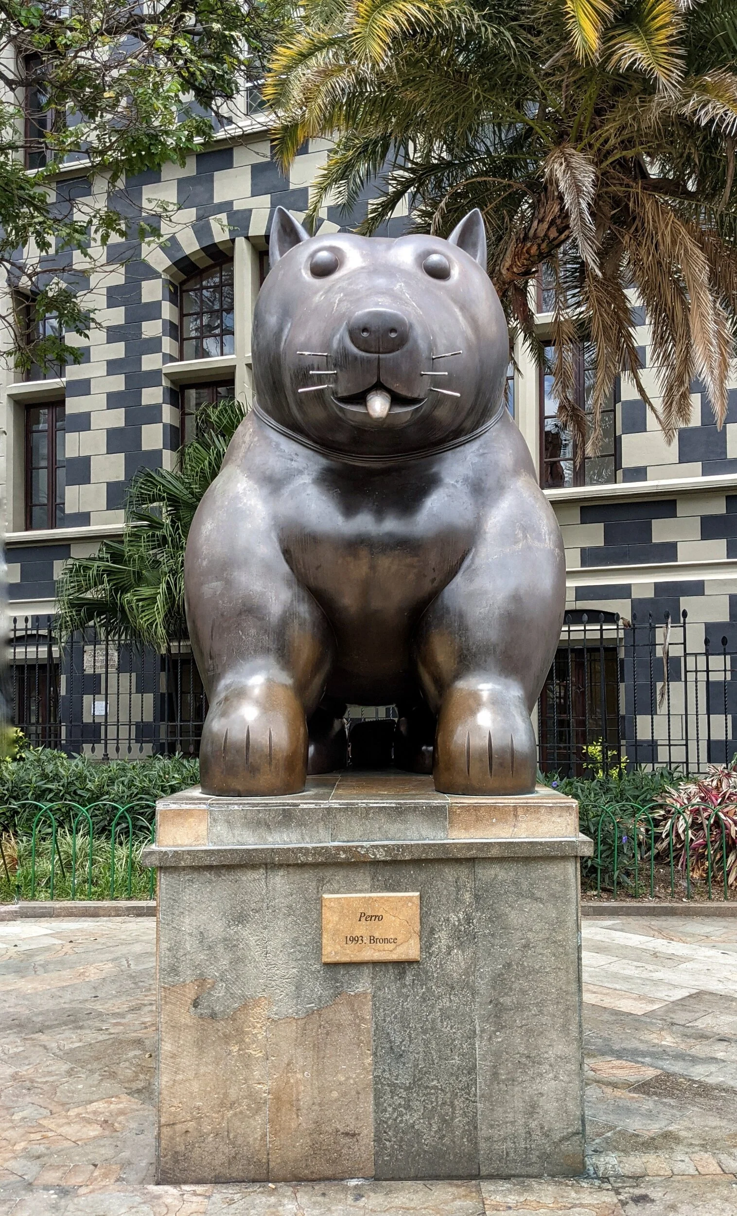 Perro