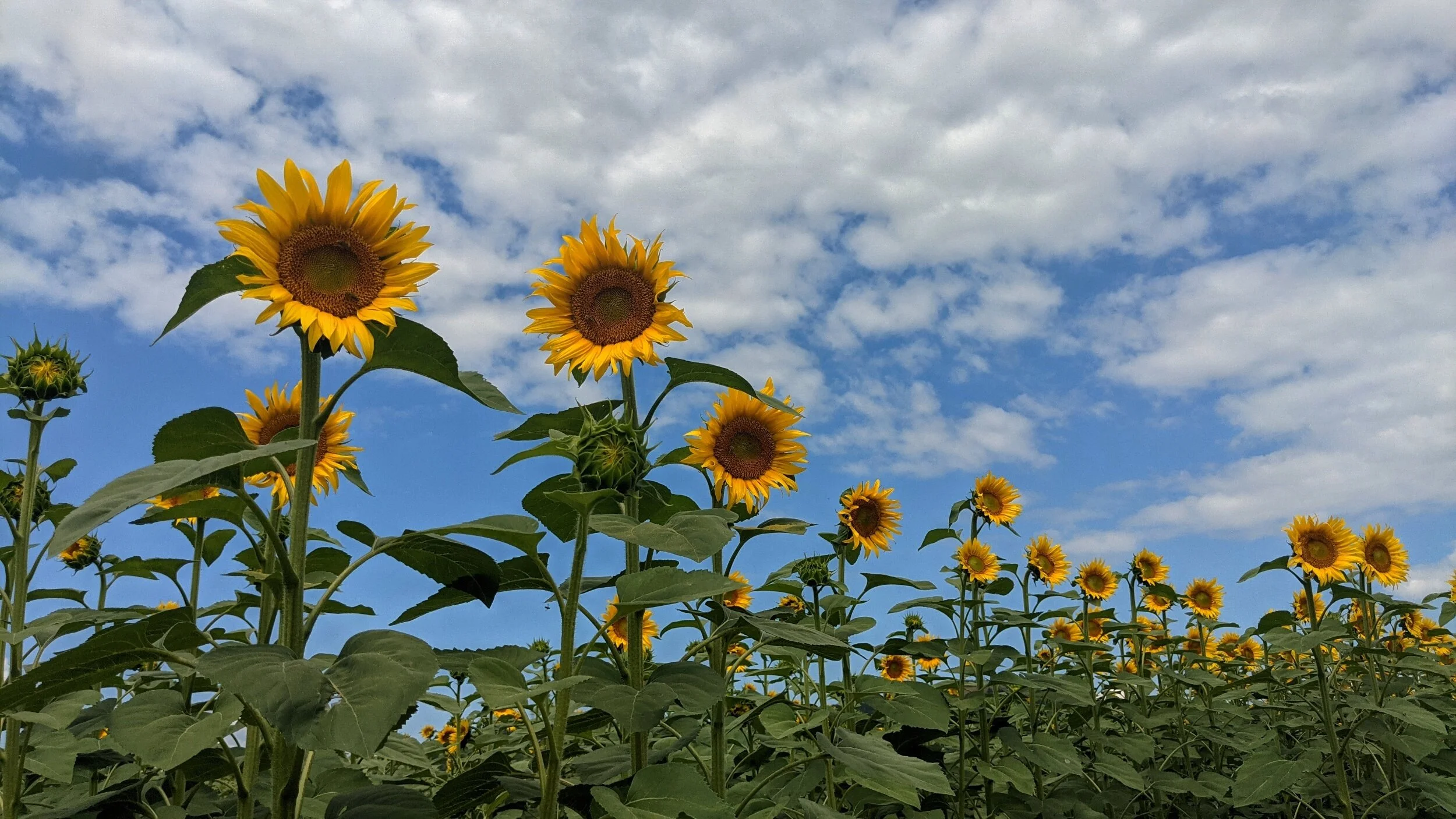 Day Trips from Bansko