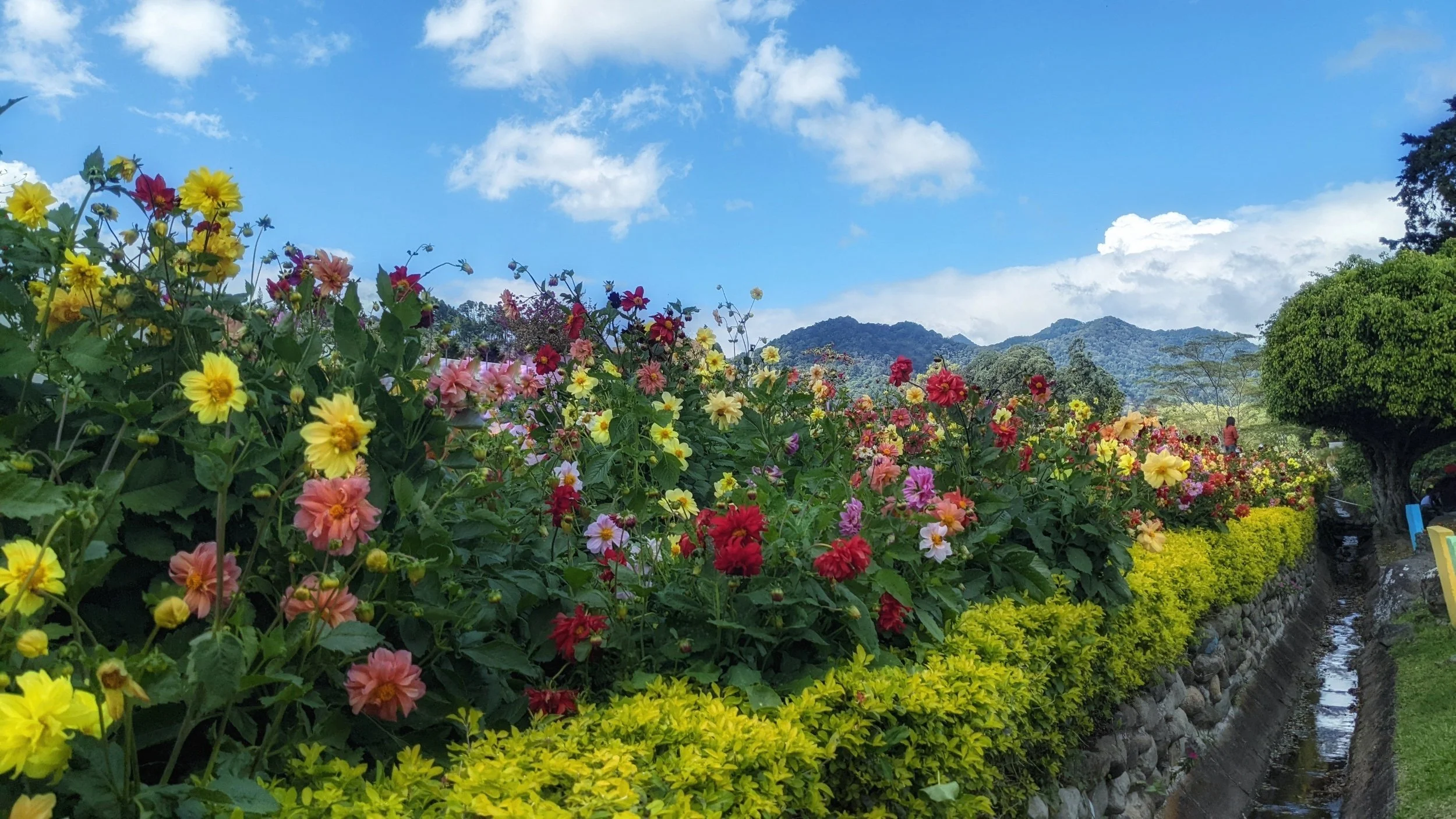 First Impression: Boquete, Panama