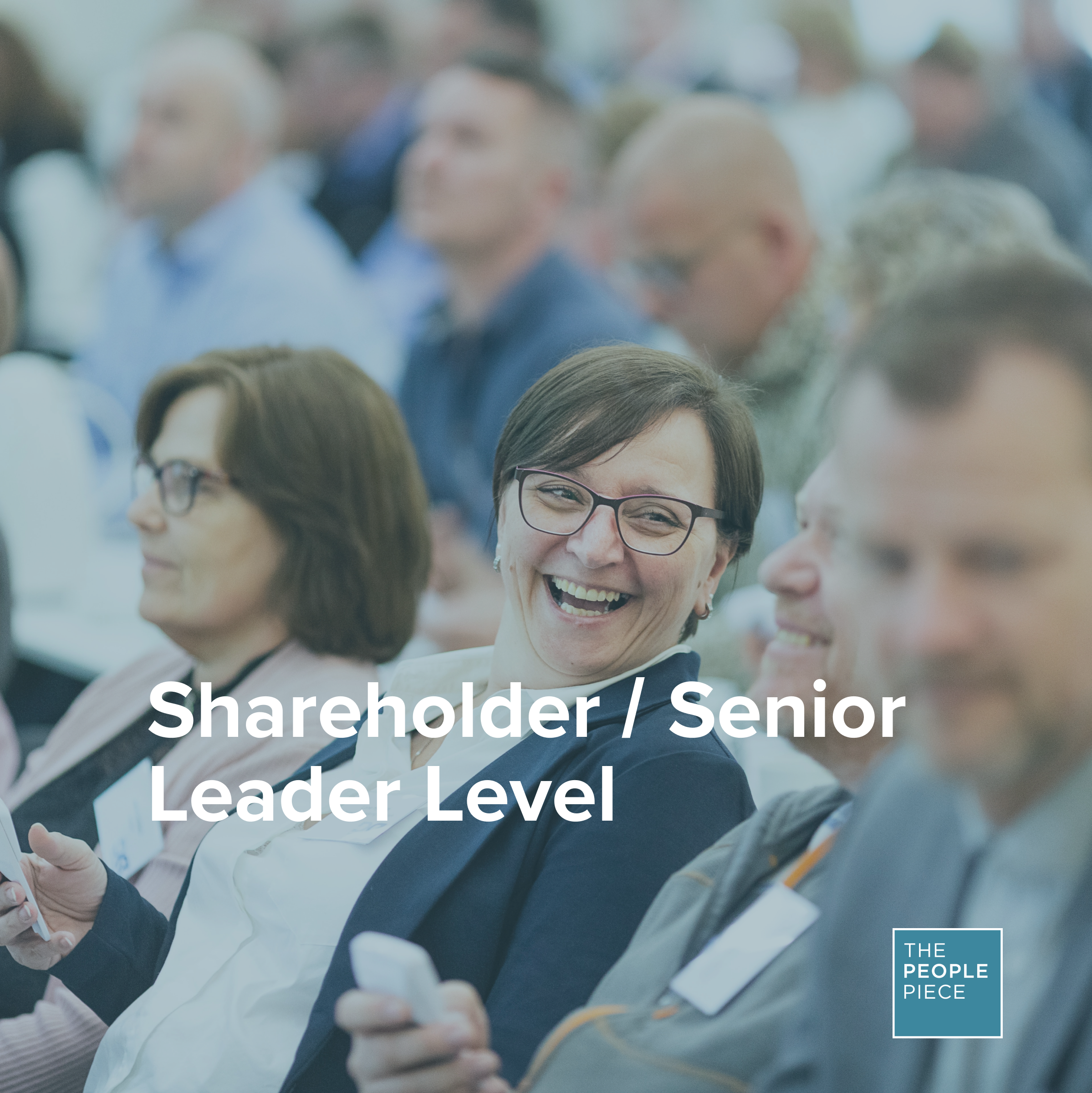 Senior  Leader Level.png