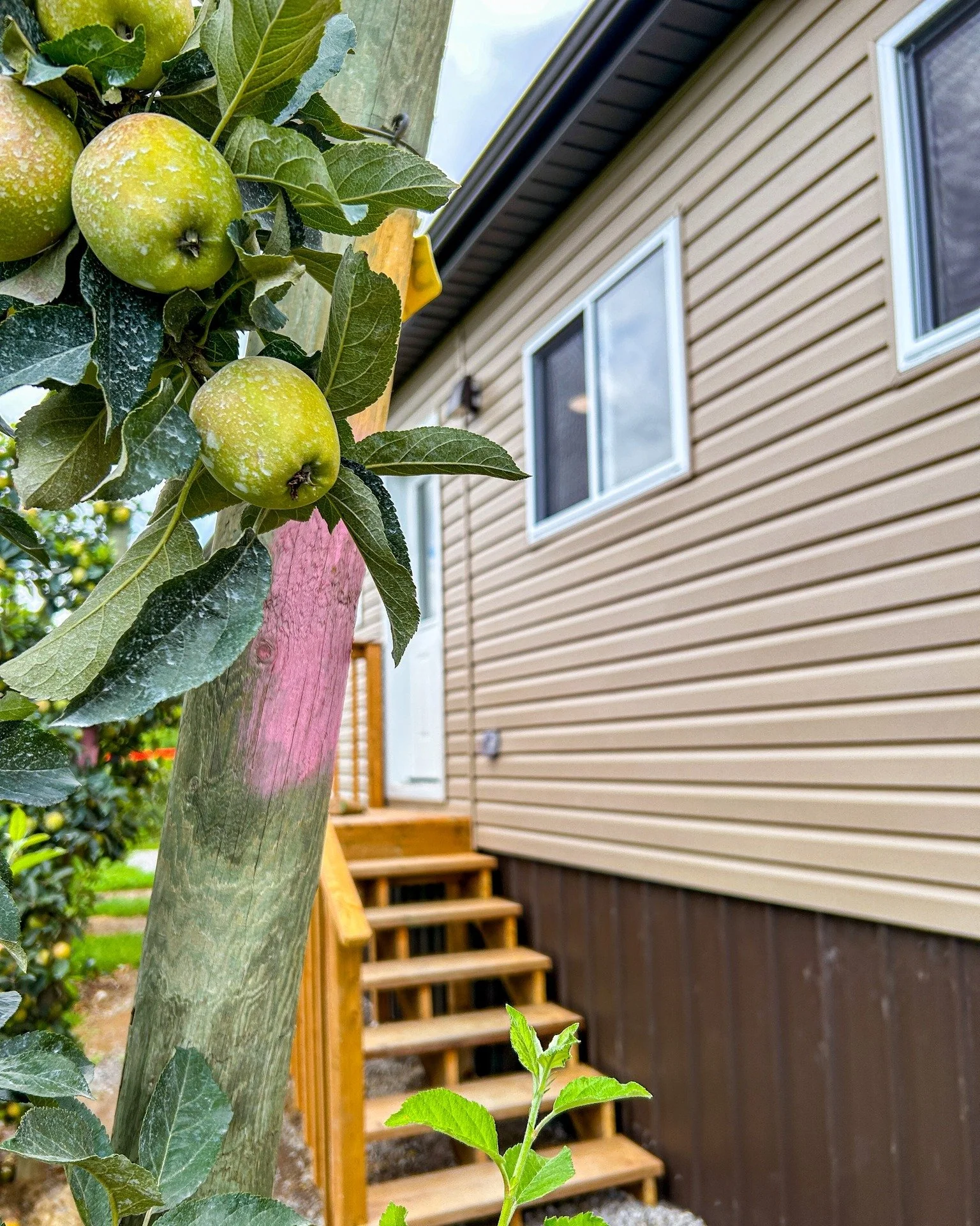 We really want to change the game when it comes to seasonal farm worker housing in Ontario...(Here's one we built in just 6 weeks)

Providing quality housing is not only a legal requirement&mdash;it&rsquo;s an investment in productivity, efficiency, 