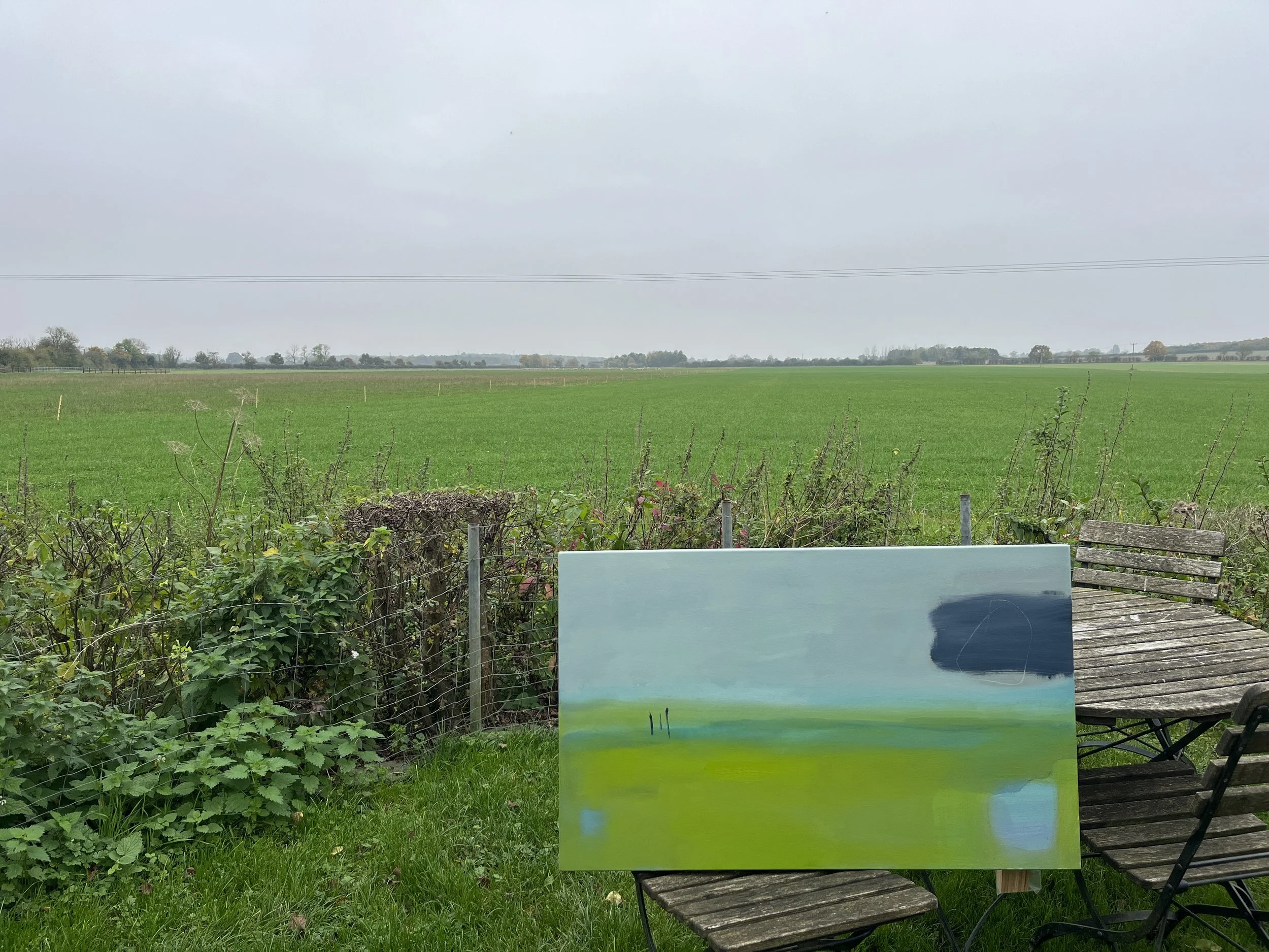 Alison Berrett_Letting Go_2024_Oil on Canvas_60x97cm_in situ.JPG