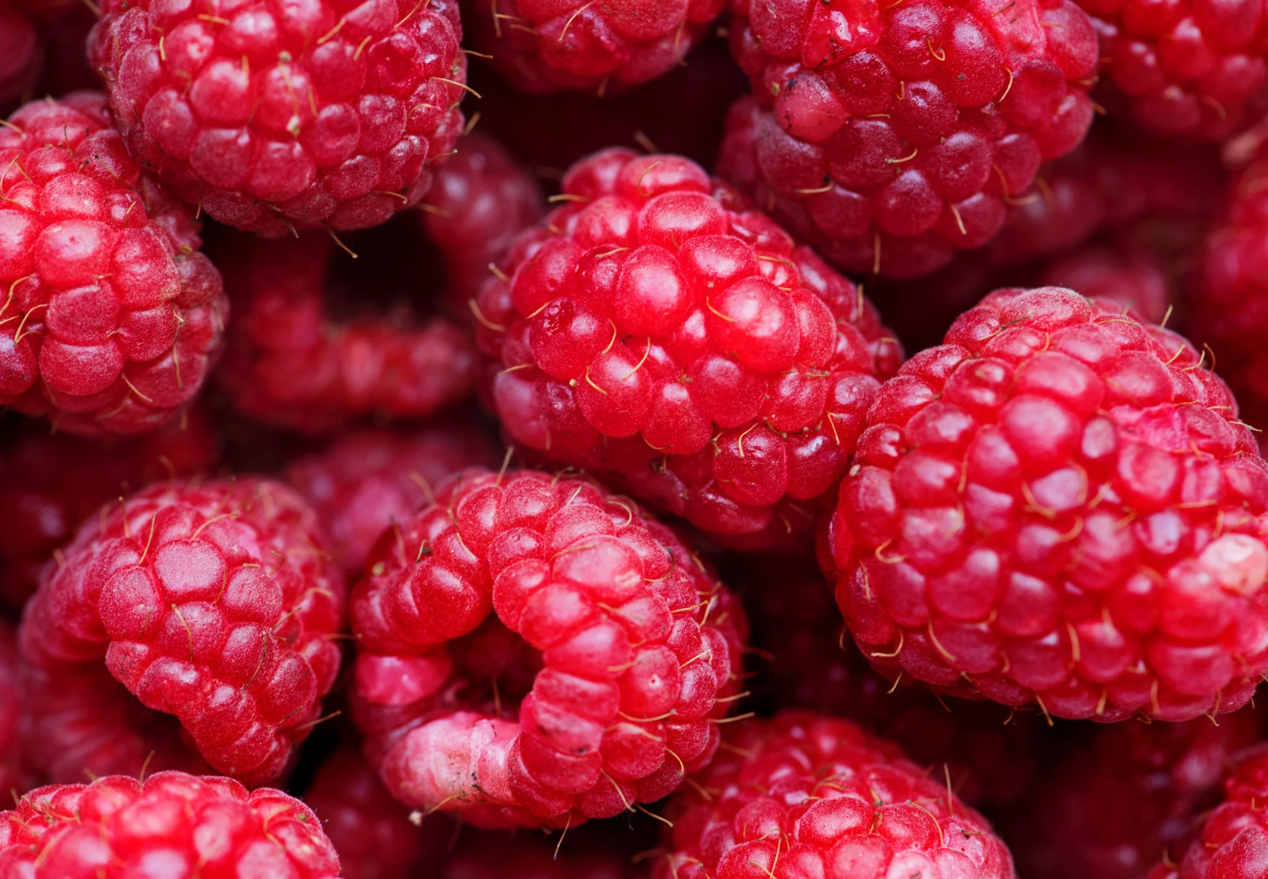 background-berries-close-up-1537690.jpg