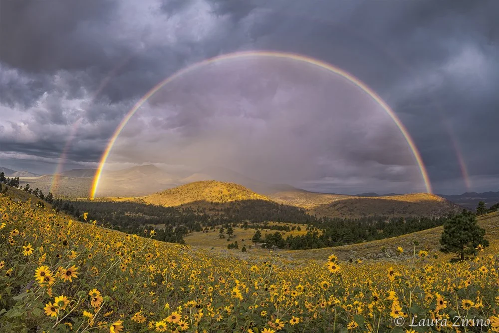 Double Rainbow Over Sunflowers.jpg
