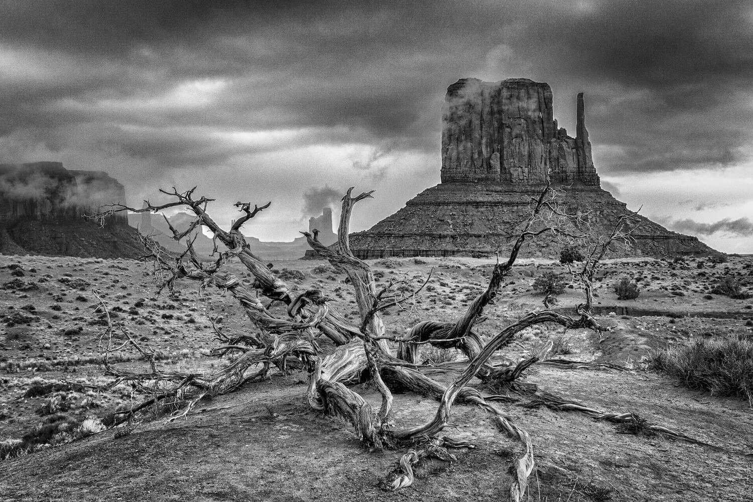 West Mitten Butte
