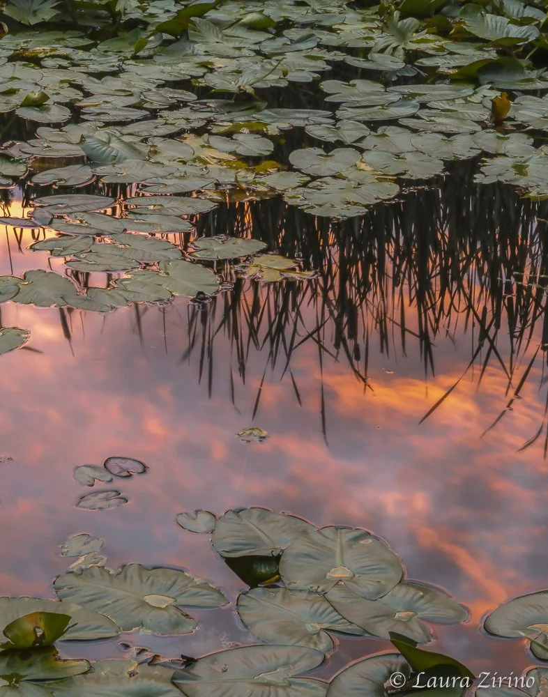 Sunset Reflection.jpg