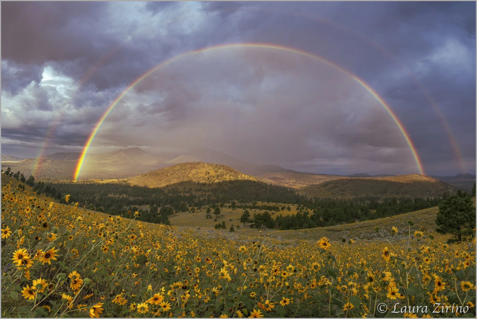 Double Rainbow.framed.jpg