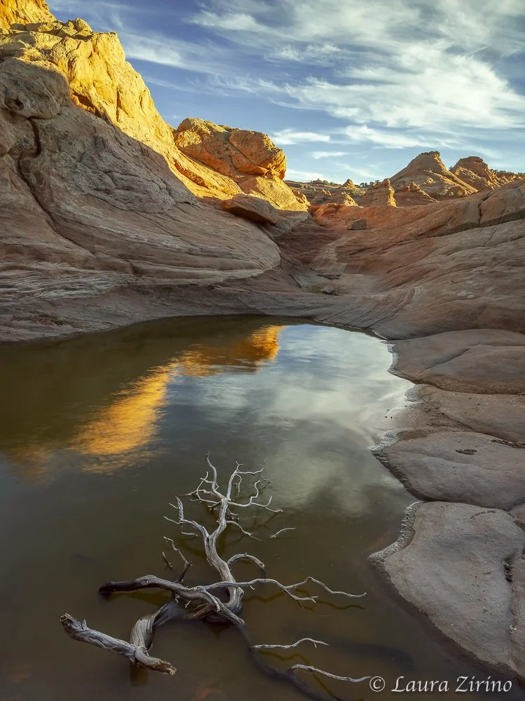 Coyote Buttes.jpg