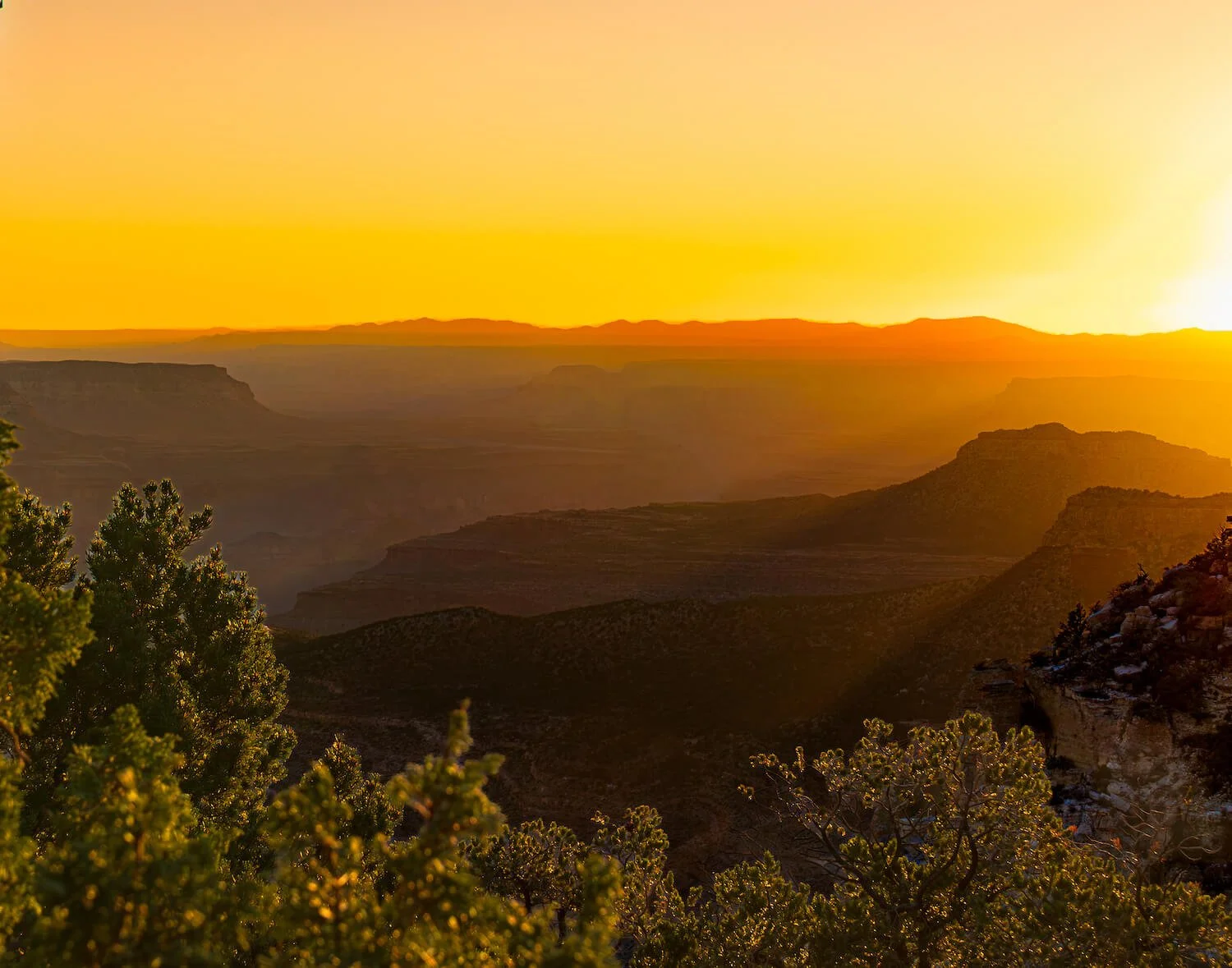 The Last Rays of Day
