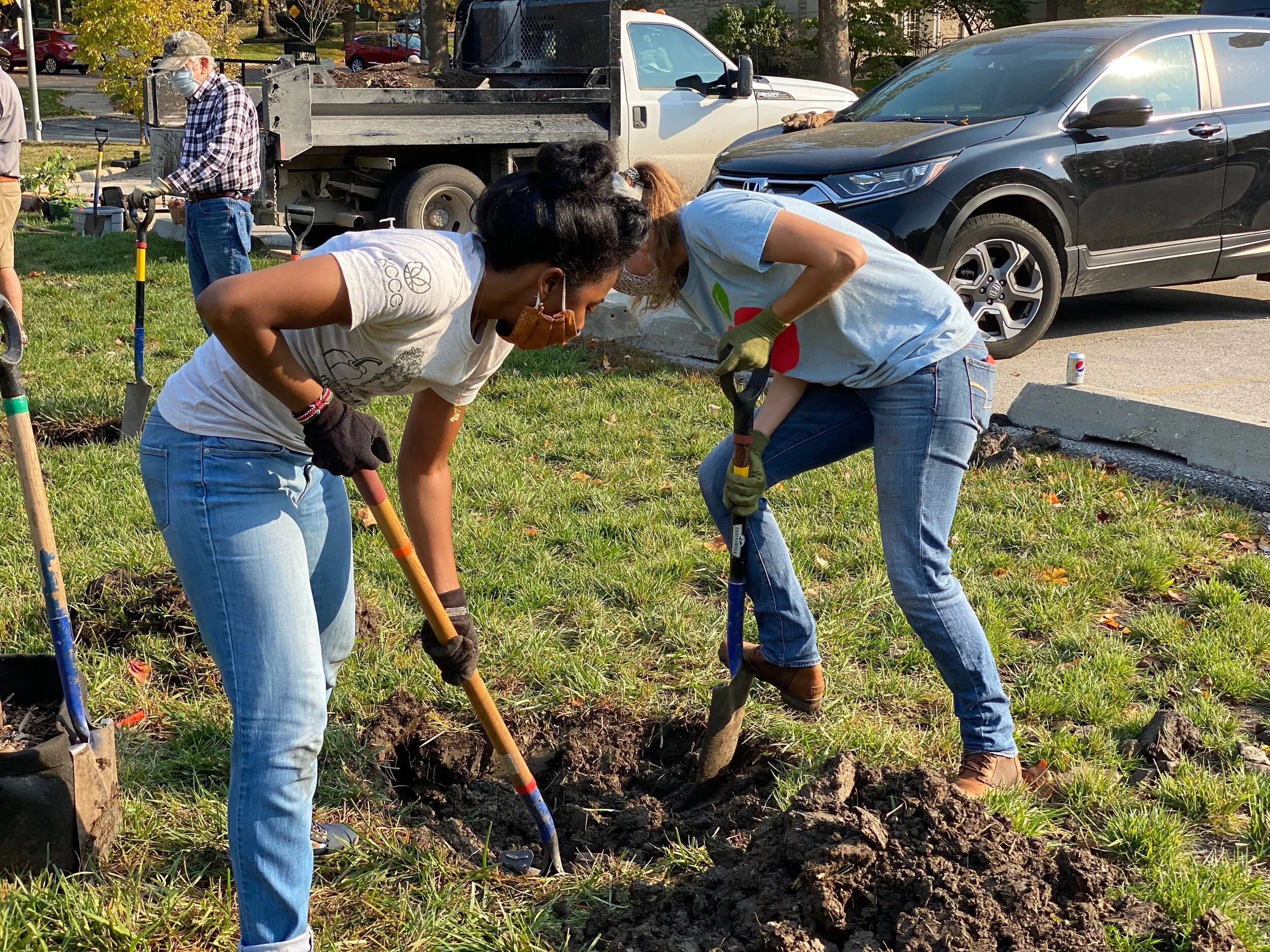 Fall Fruit Tree Planting!