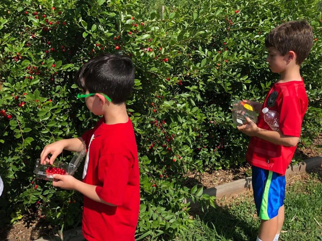 Guest Post: People are hungry, others are happy to give