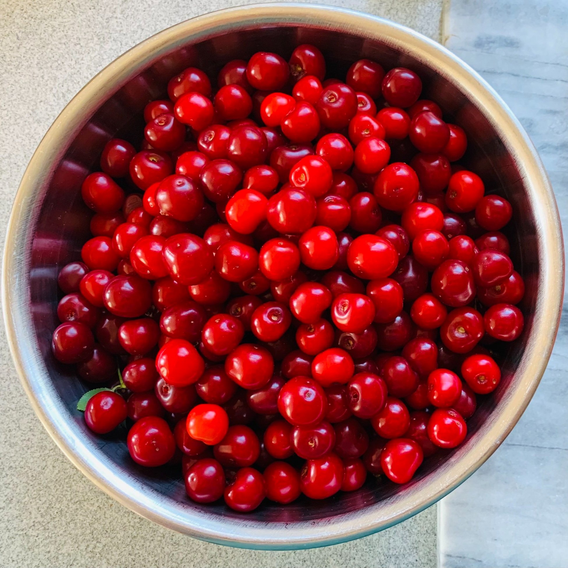 First Cherry Harvest of the Season