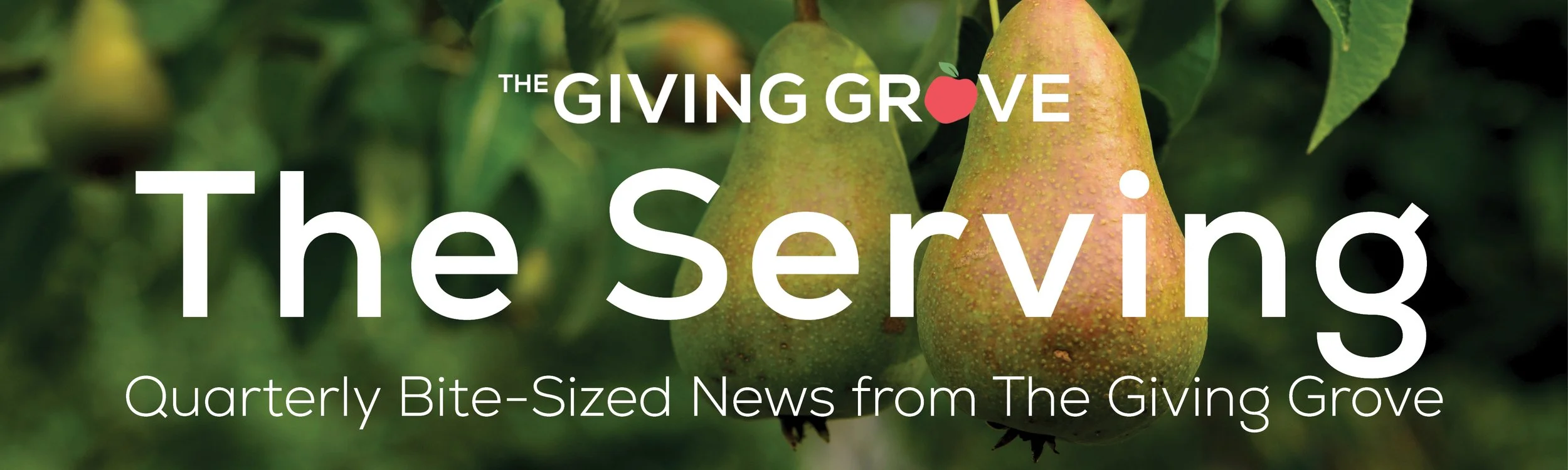 The Serving: June 2023