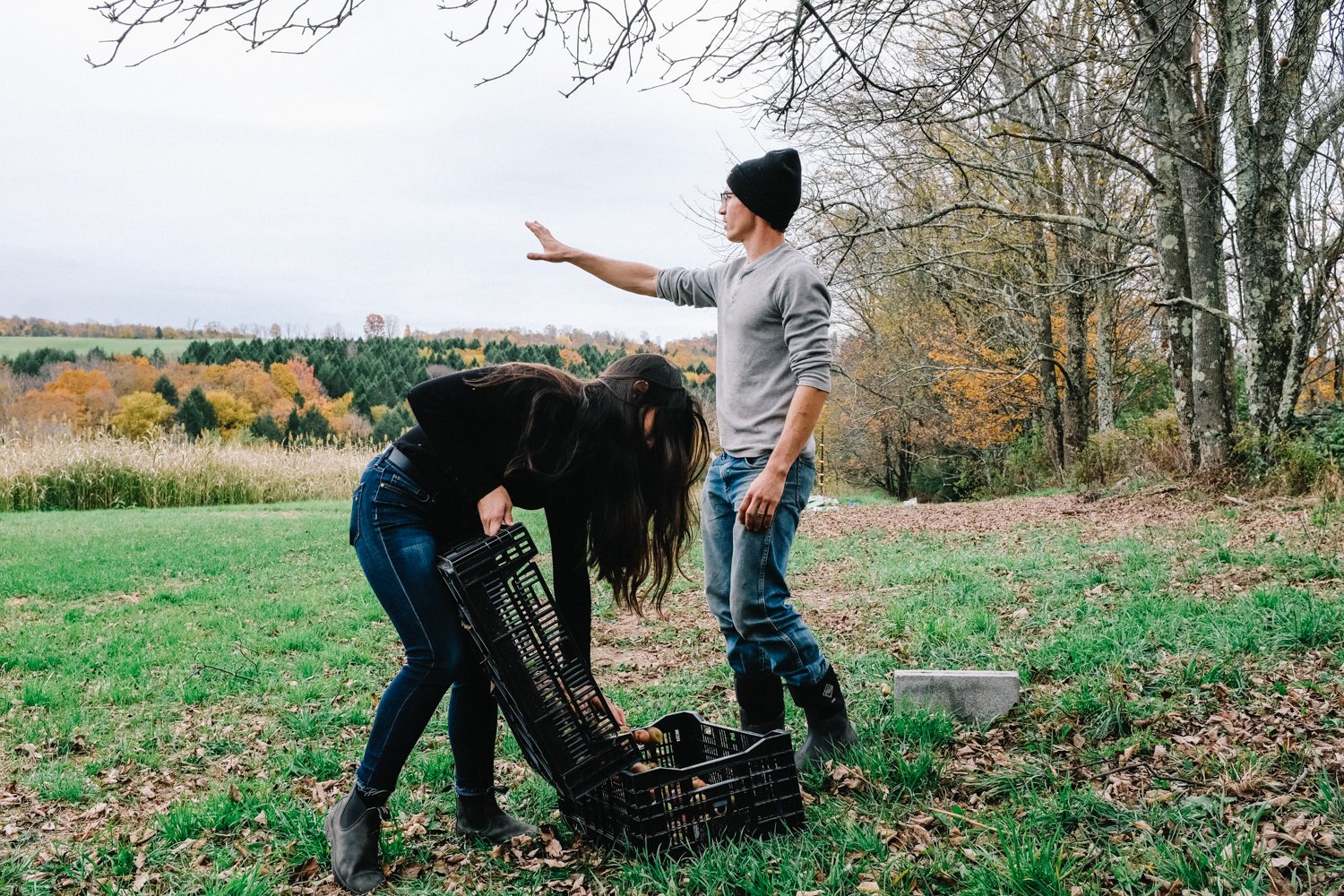 A Seed Planted in Somerset