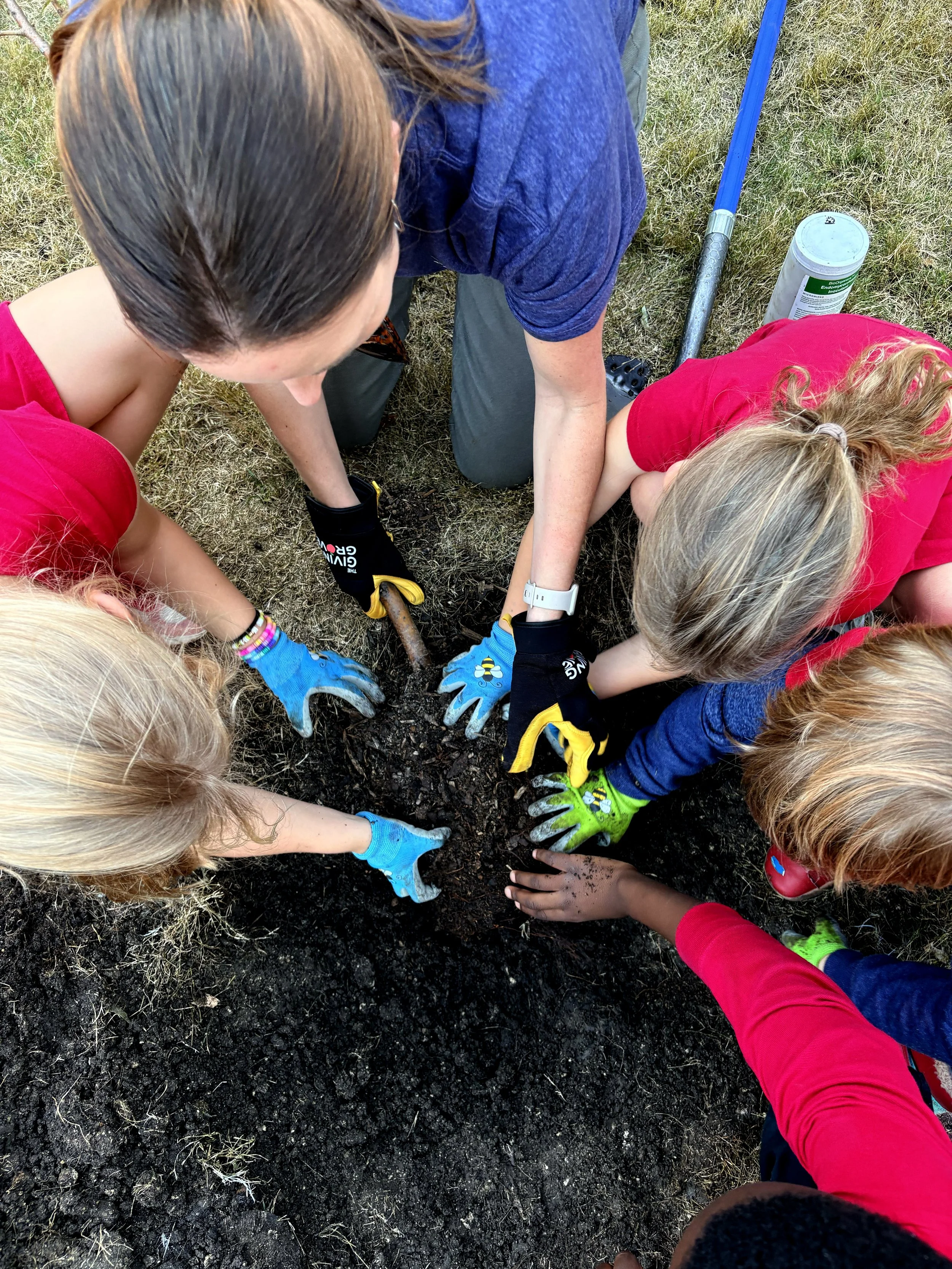 Soil Health for Pest &amp; Disease Management