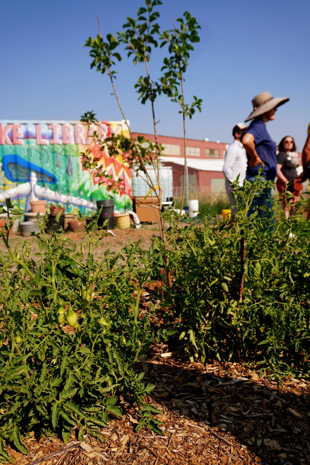 The Giving Grove | Resources for Planting and Growing Fruit Trees, Nut  Trees and Holistic Orchards  The Giving Grove