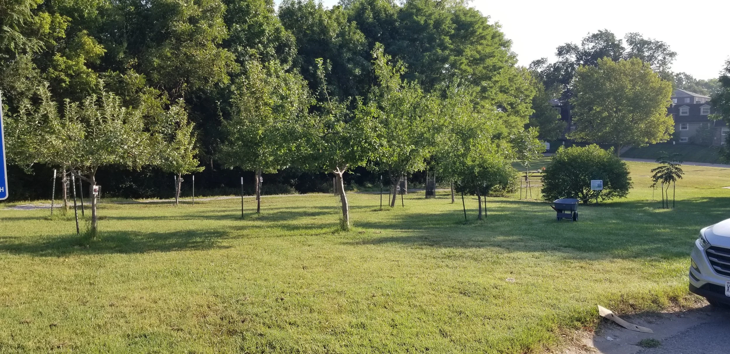 For Jim, the Pawpaws, and the Charlie Brown Pecan Tree