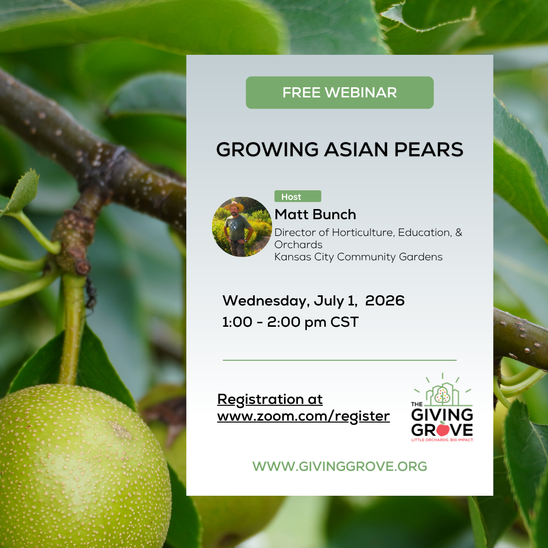 Growing Asian Pears with Matt Bunch