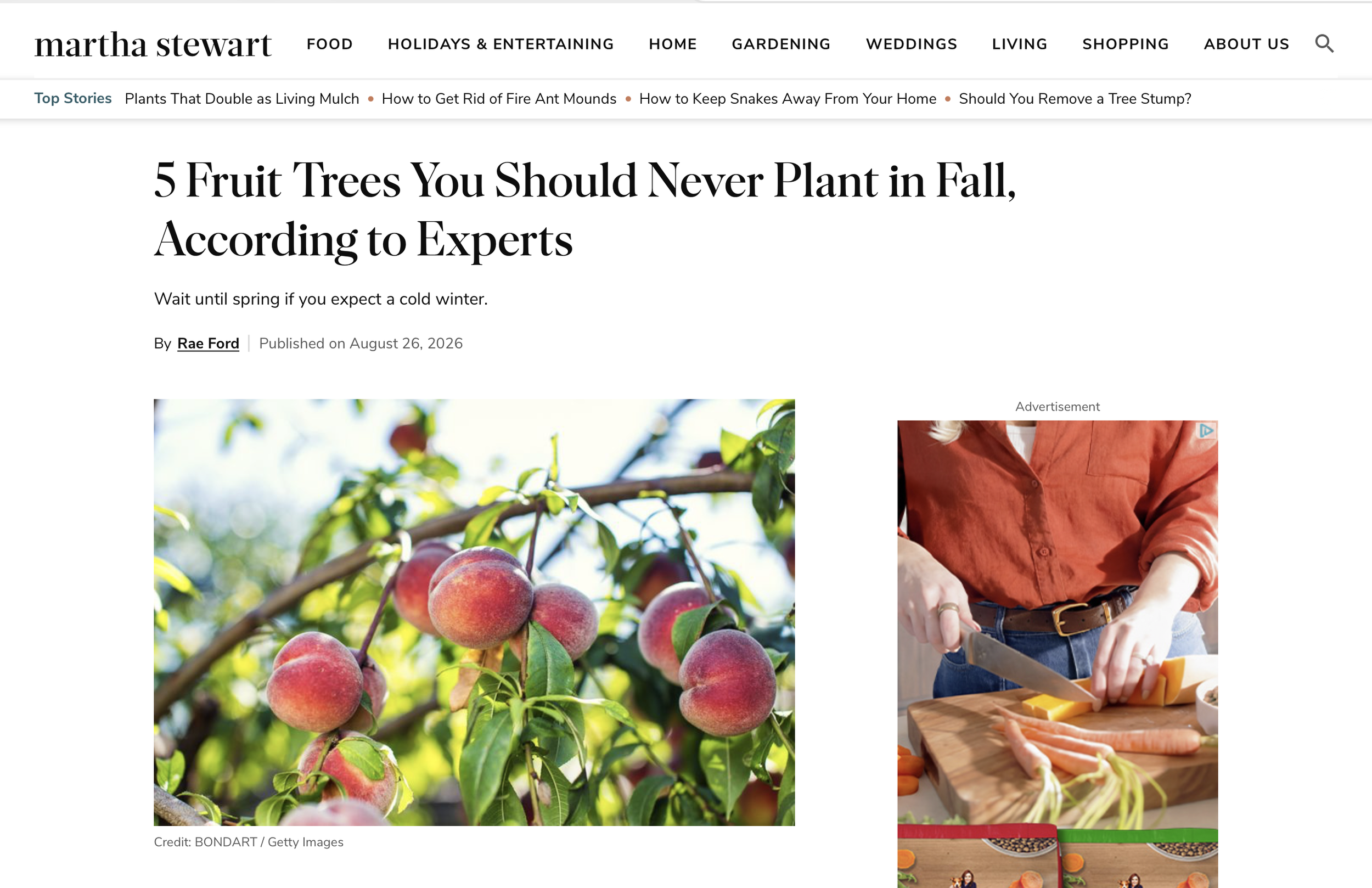 Martha Stewart Living: 5 Fruit Trees You Shouldn't Plant in the Fall