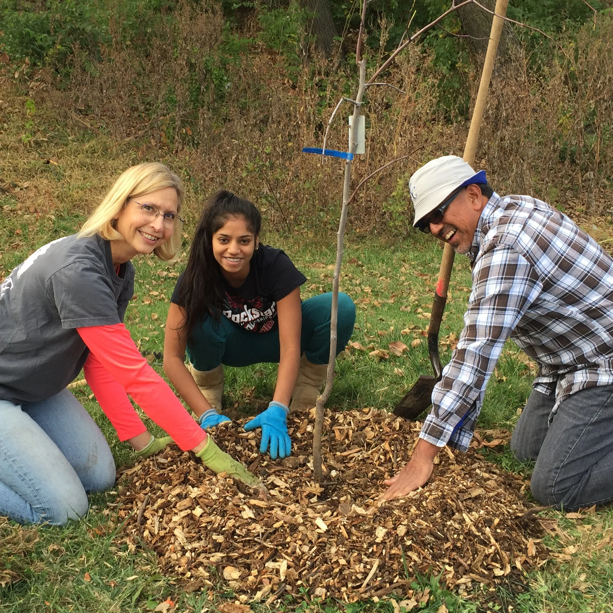 park planting- square.jpg