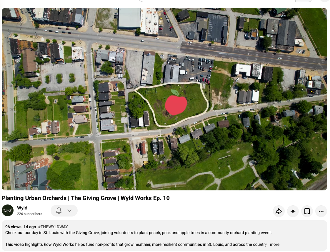 Wyld Works: Planting Urban Orchards | The Giving Grove 
