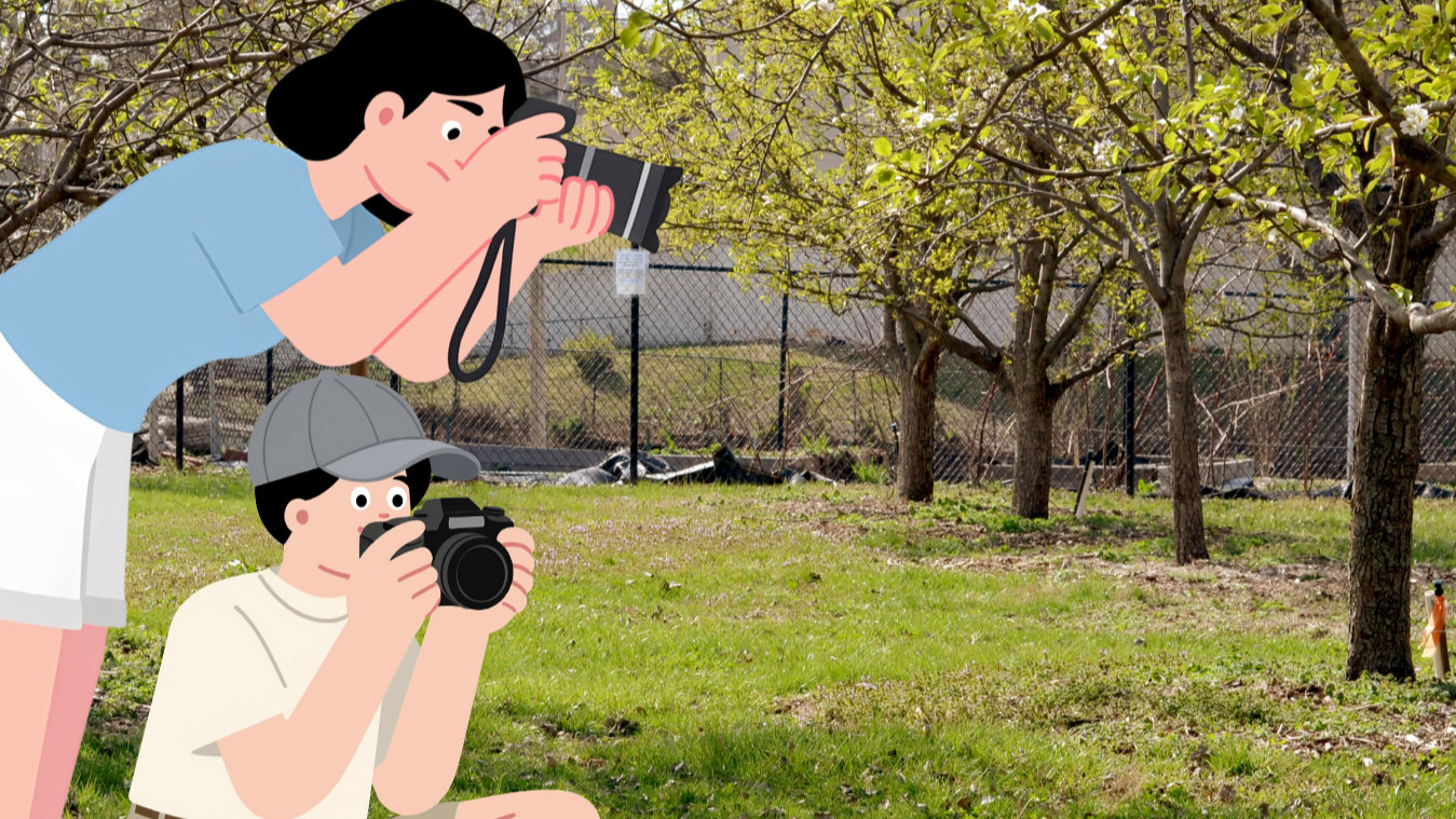 take photos at different angles