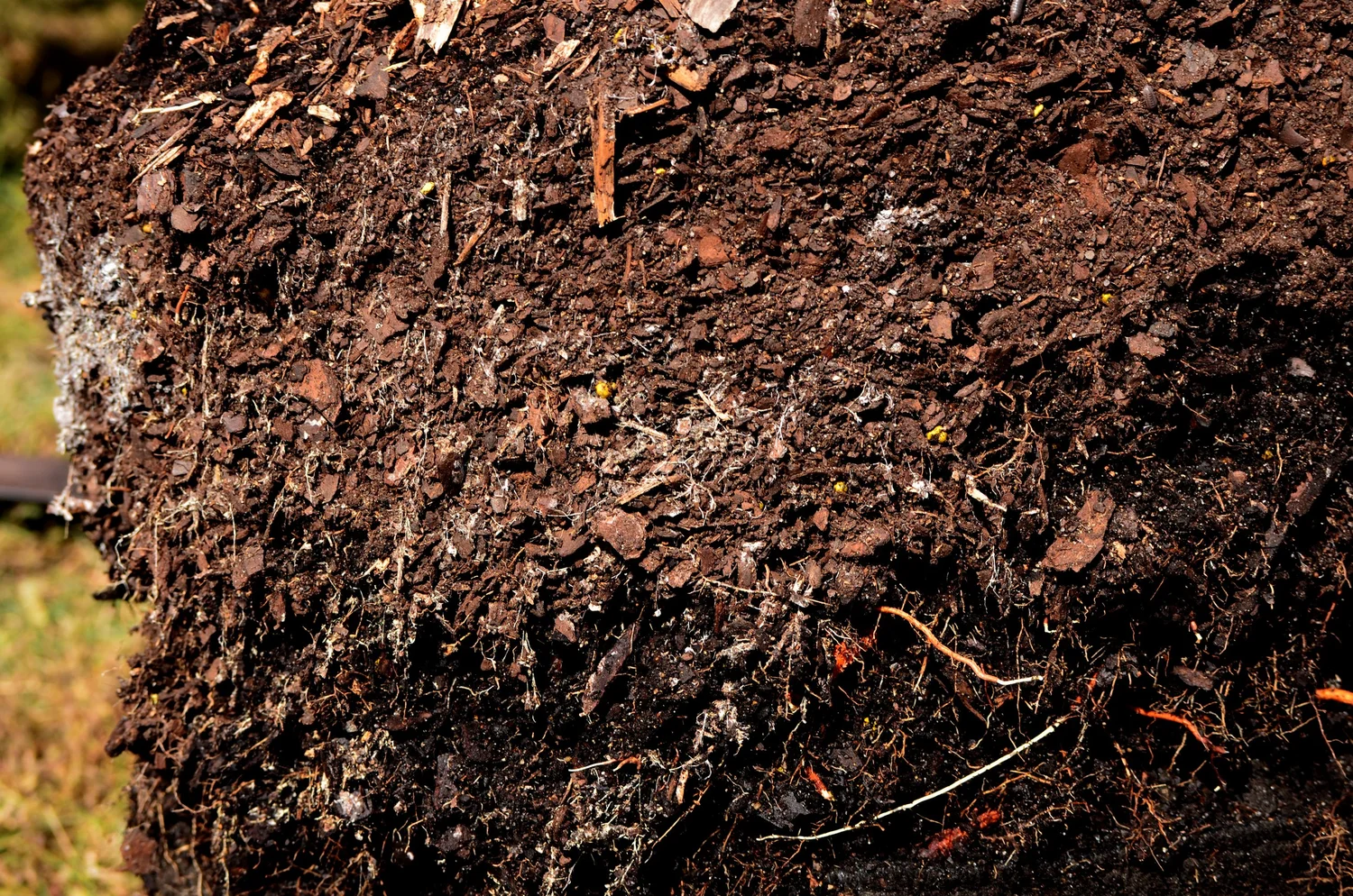 Smart Pots are a Smart Choice for Fruit Trees — The Giving Grove