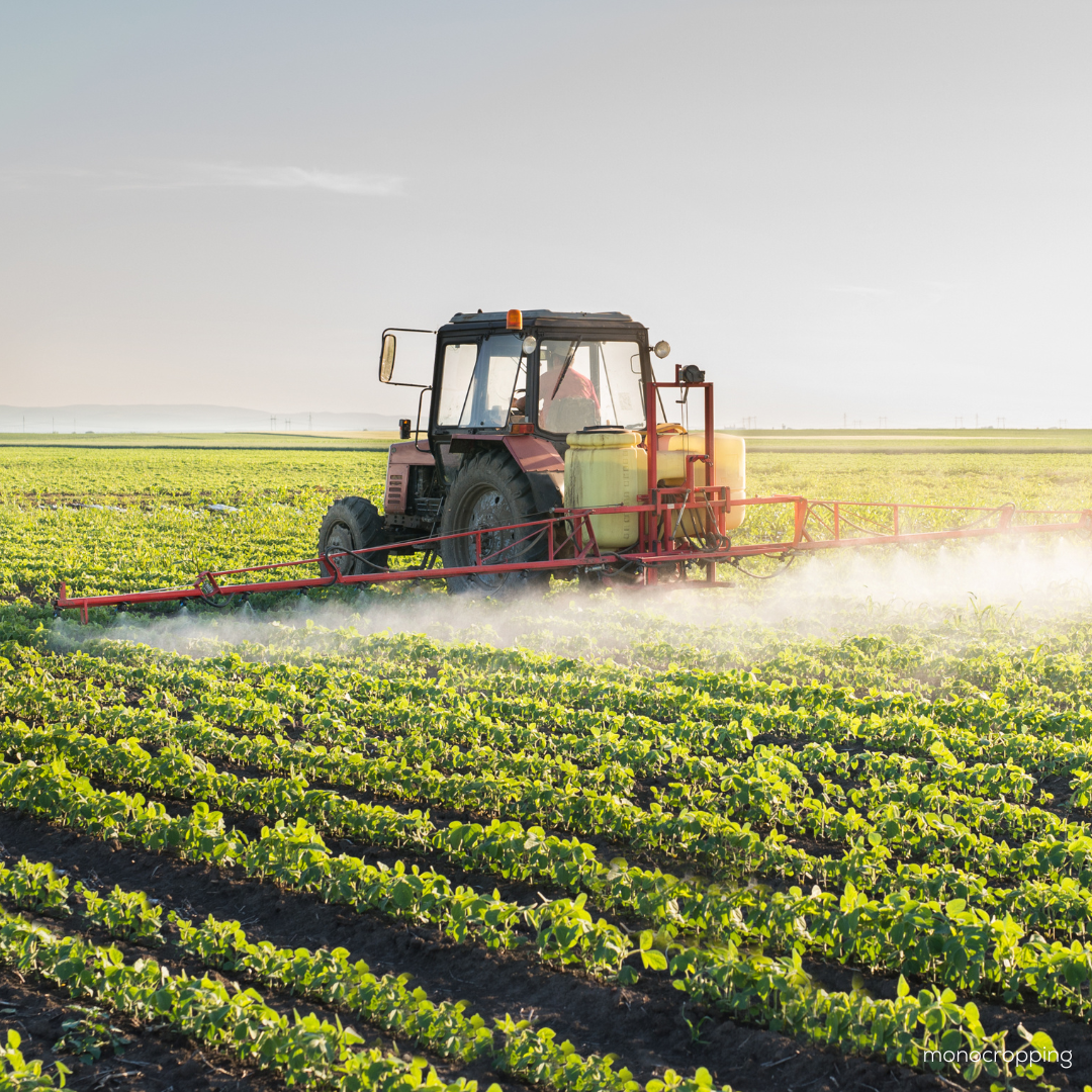 A large tractor sprays a crop of soybeans
