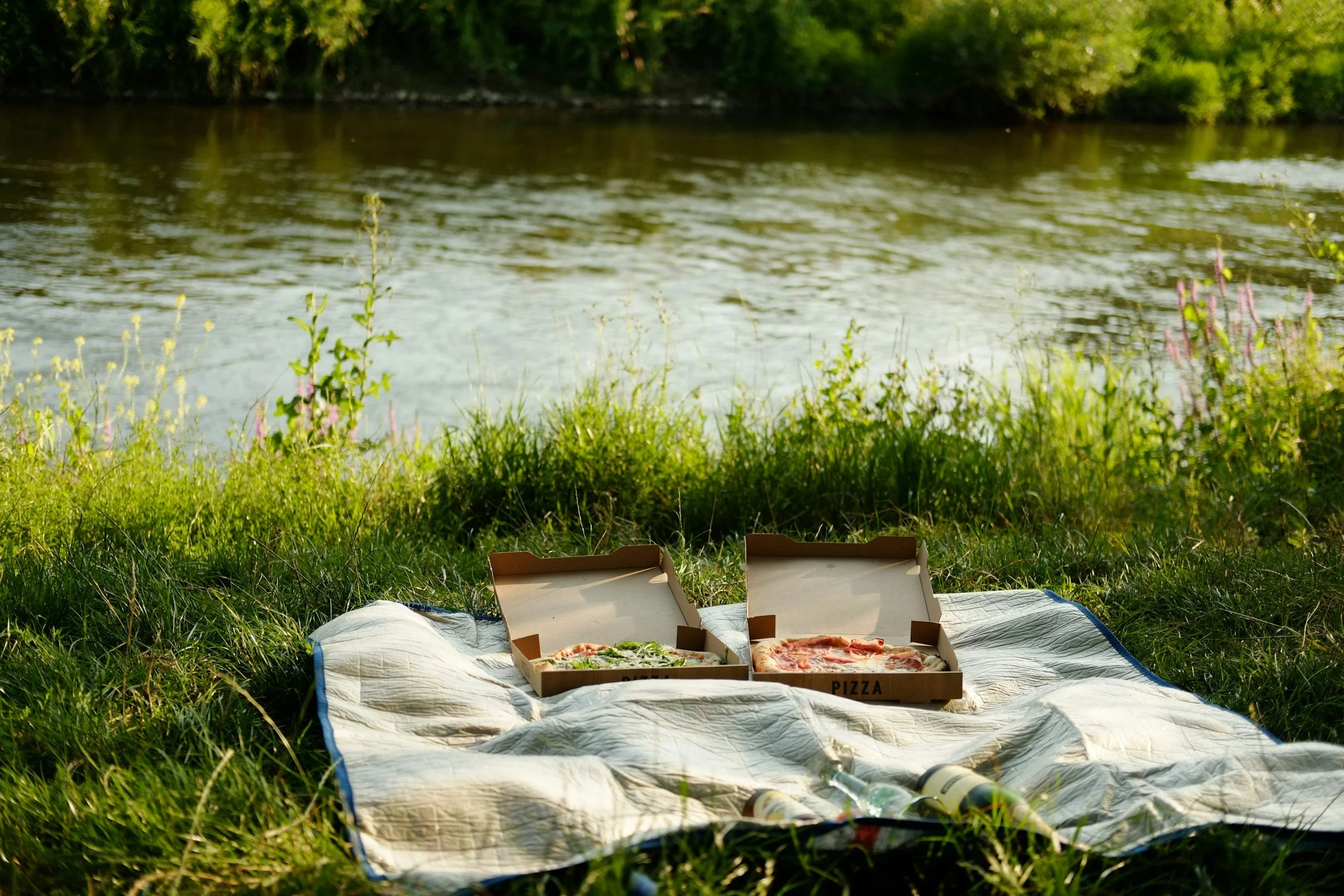 Pizza Picnic with Donatues