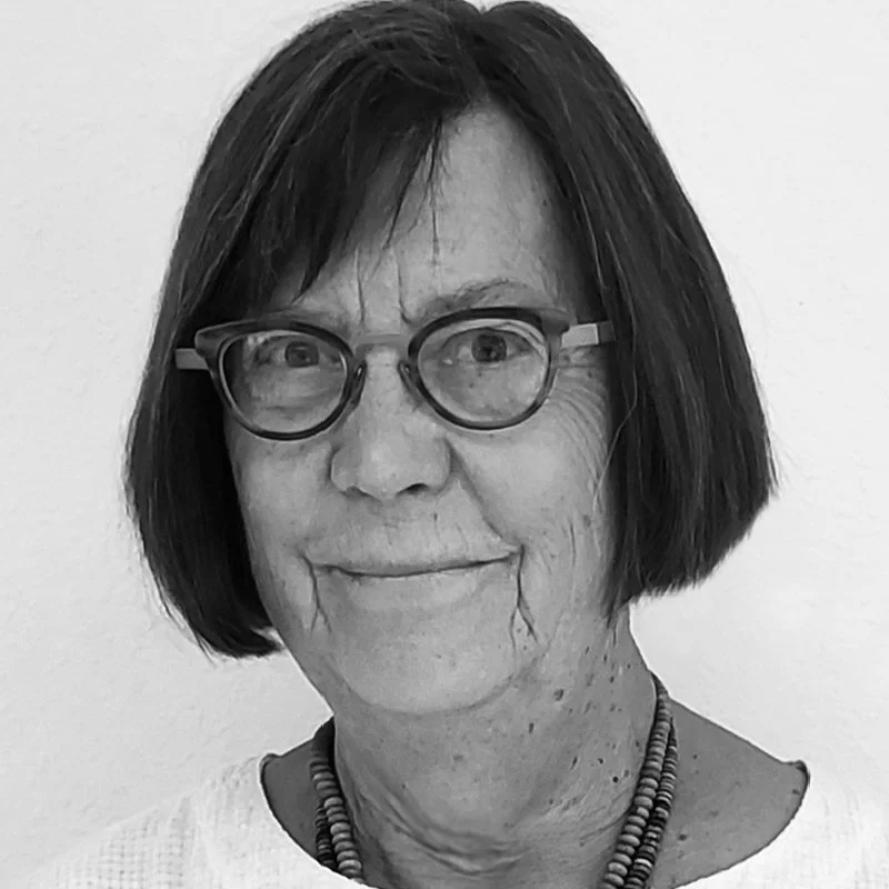Vol 12 Presenter Mollie Toll Friends Of Architecture Santa Fe