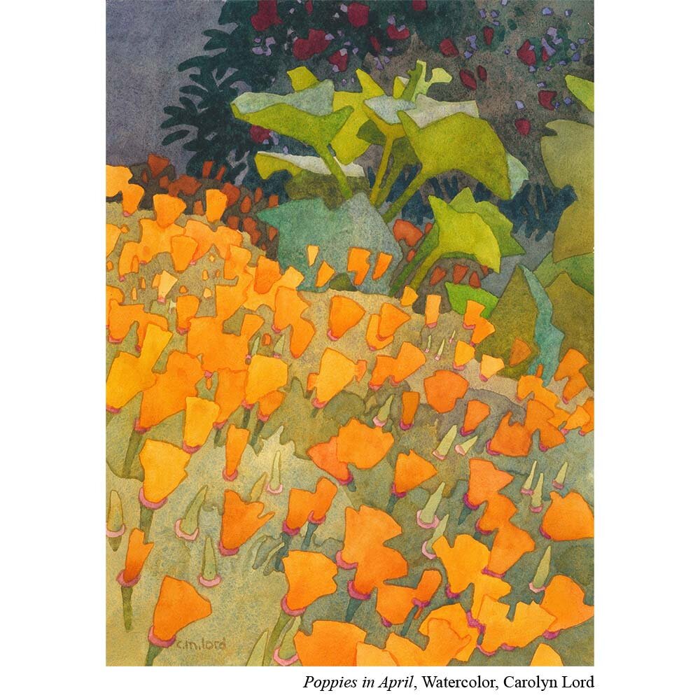 Poppies-in-April---Watercolor-CarolynLord-1000sq.jpg