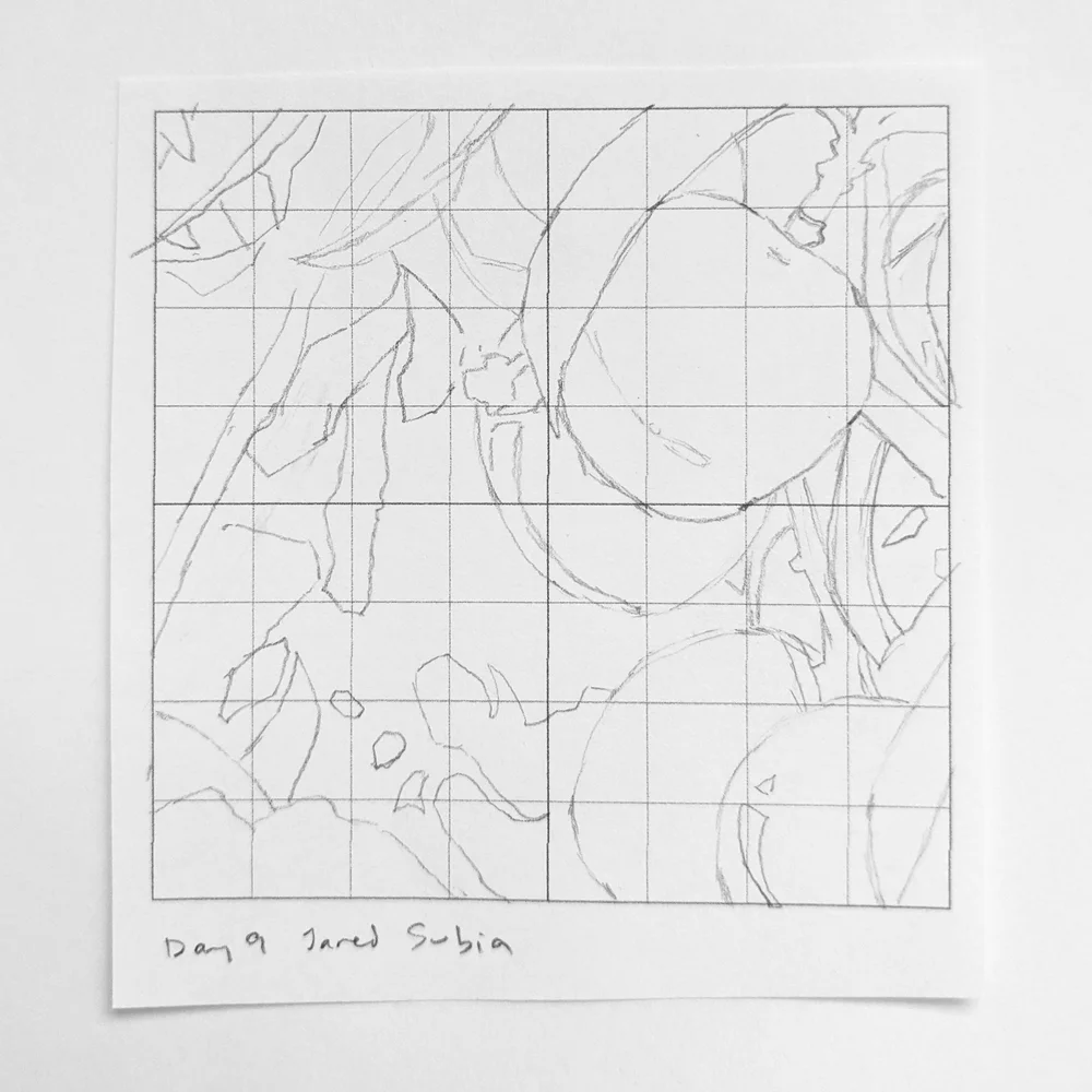 5 Misconceptions About Grid Drawing — Learn to Paint Podcast