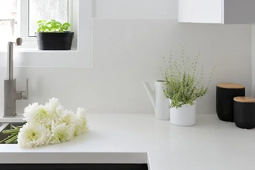 How to Incorporate Plants into Any Space