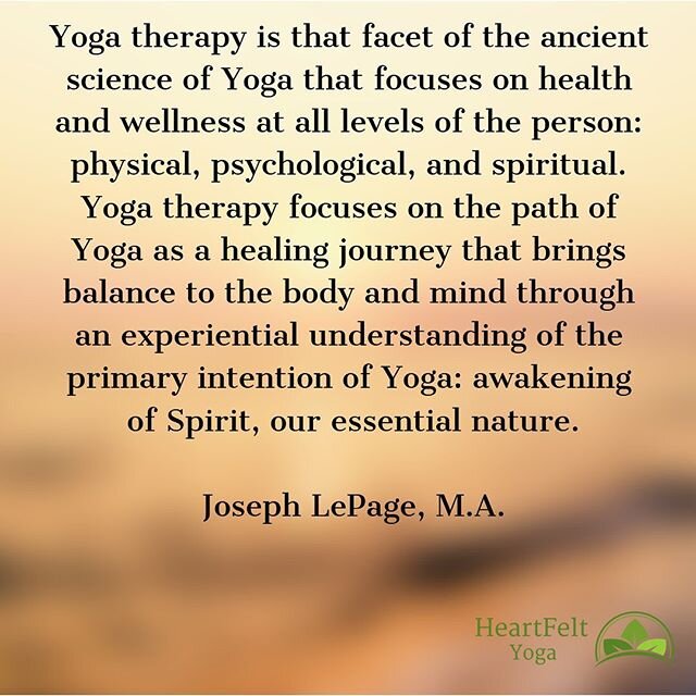 Are you interested in learning more about yoga therapy? Maybe you aren&rsquo;t sure if it is right for you? I invite you to book an introduction appointment.  This will give us the opportunity to discuss if yoga therapy is right for you.  I have appo