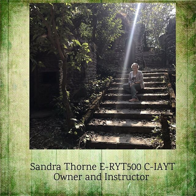 Happy Monday everyone!  HeartFelt Yoga is gearing up to open our doors again on June 18th.  I have been pretty quiet during our time in lockdown, so I thought I would take this opportunity to reintroduce myself. 
My name is Sandra Thorne.  I am the o