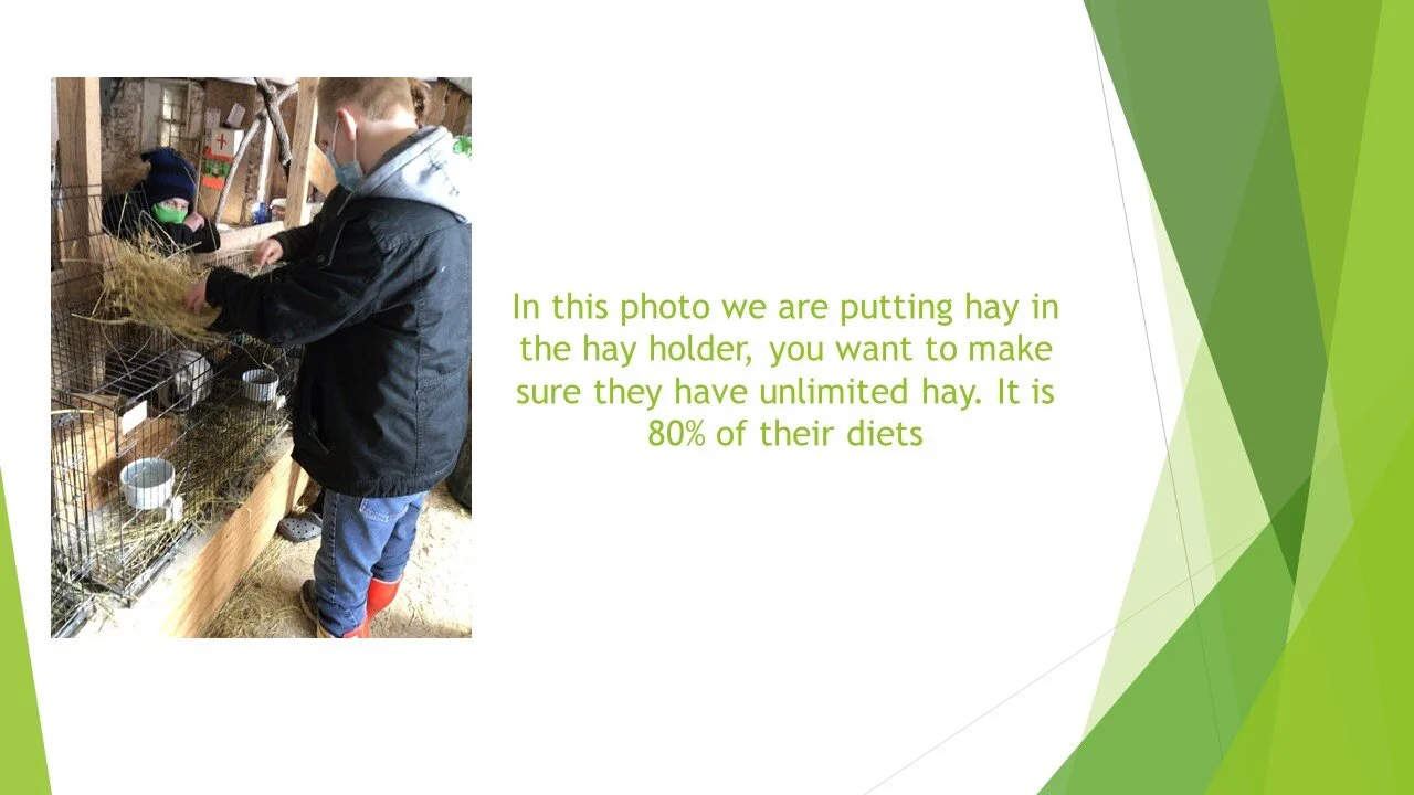Slide6.JPG