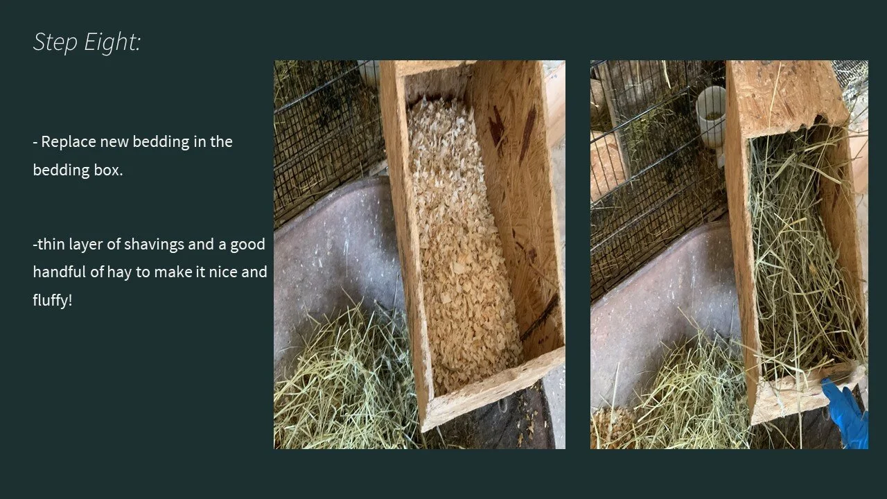 Slide9.JPG
