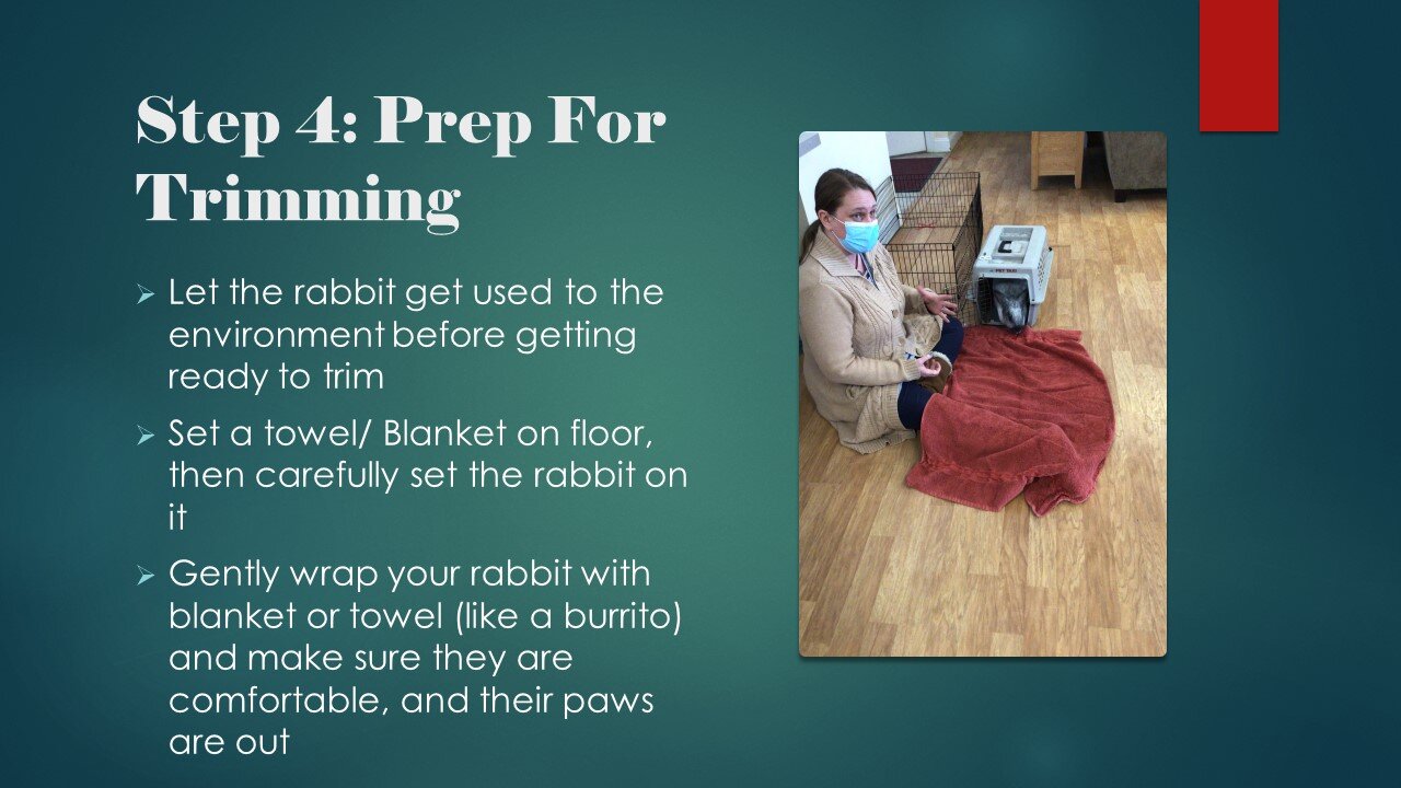 Slide6.JPG