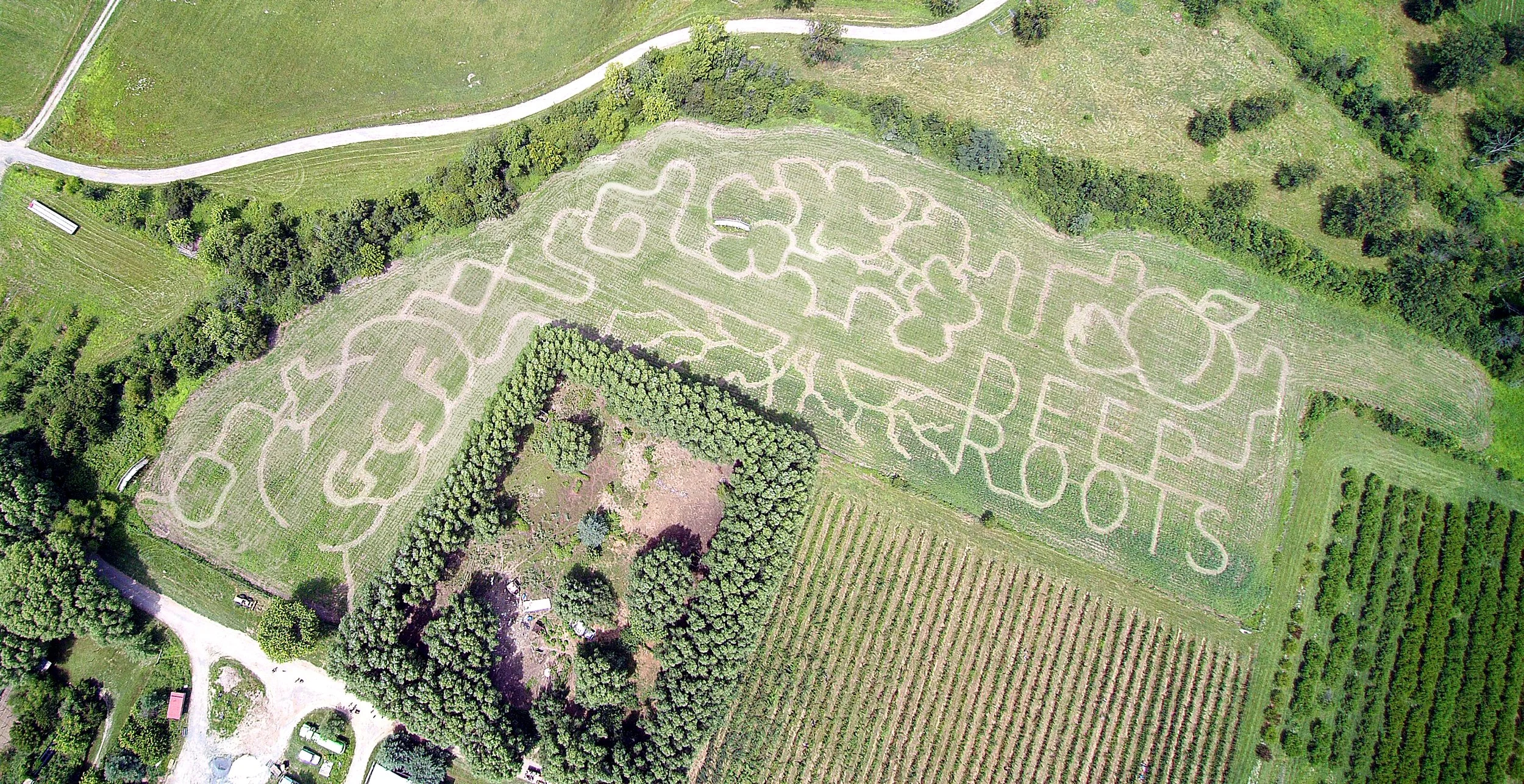 Great Country Farms 21 PHOTO.jpg
