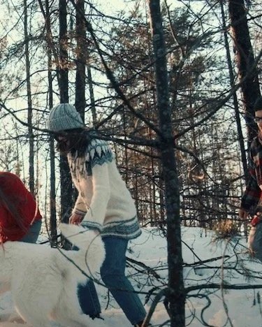 Waggin Tails Pets VA