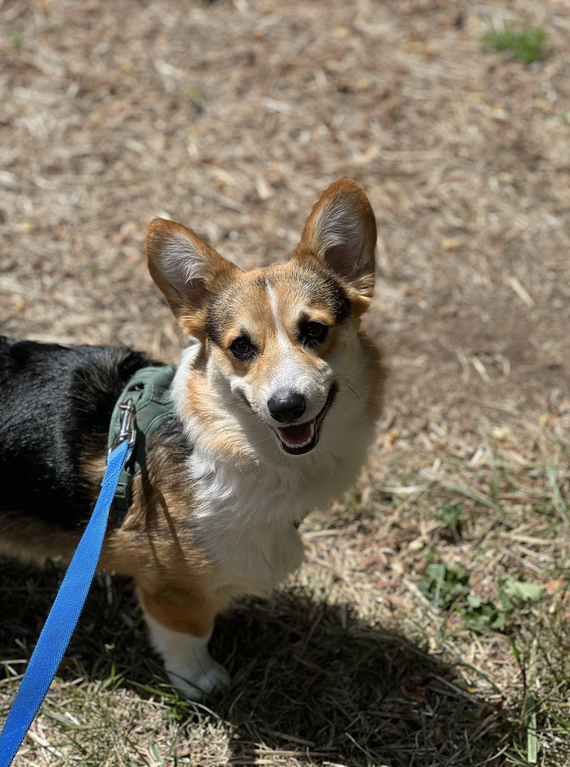 Screenshot 2026-02-15 at 9.14.51 PM.png