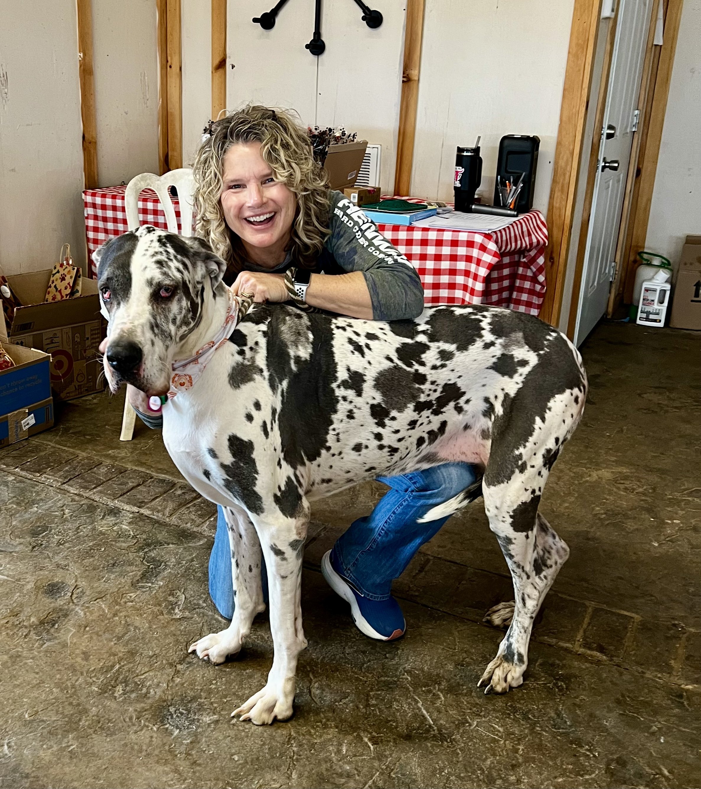 Pup Meet-up: Great Danes
