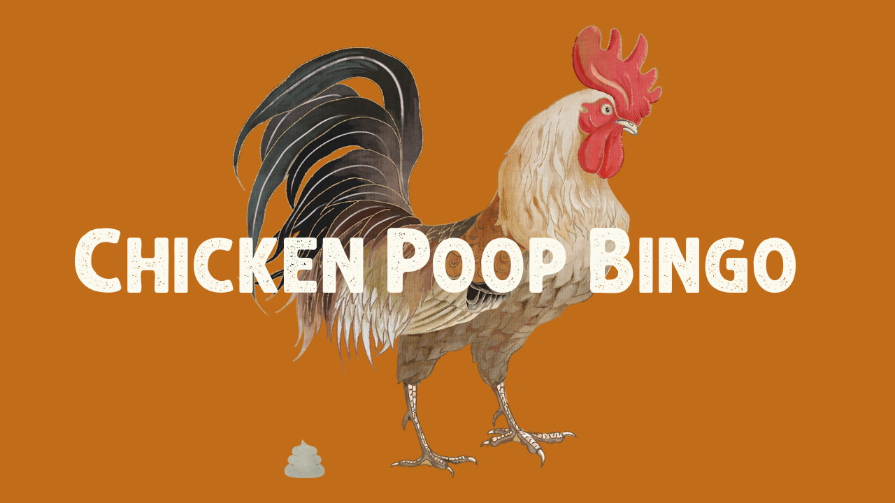 Chicken Poop Bingo