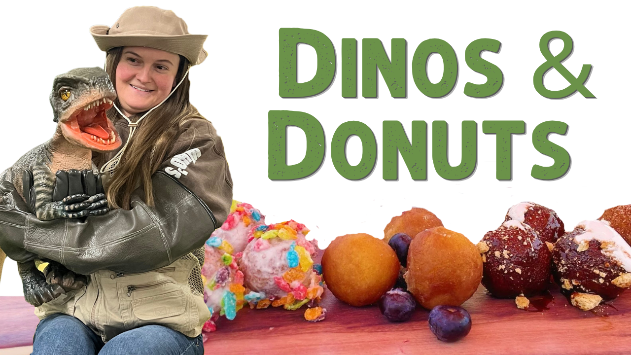 Dinos &amp; Donuts Party