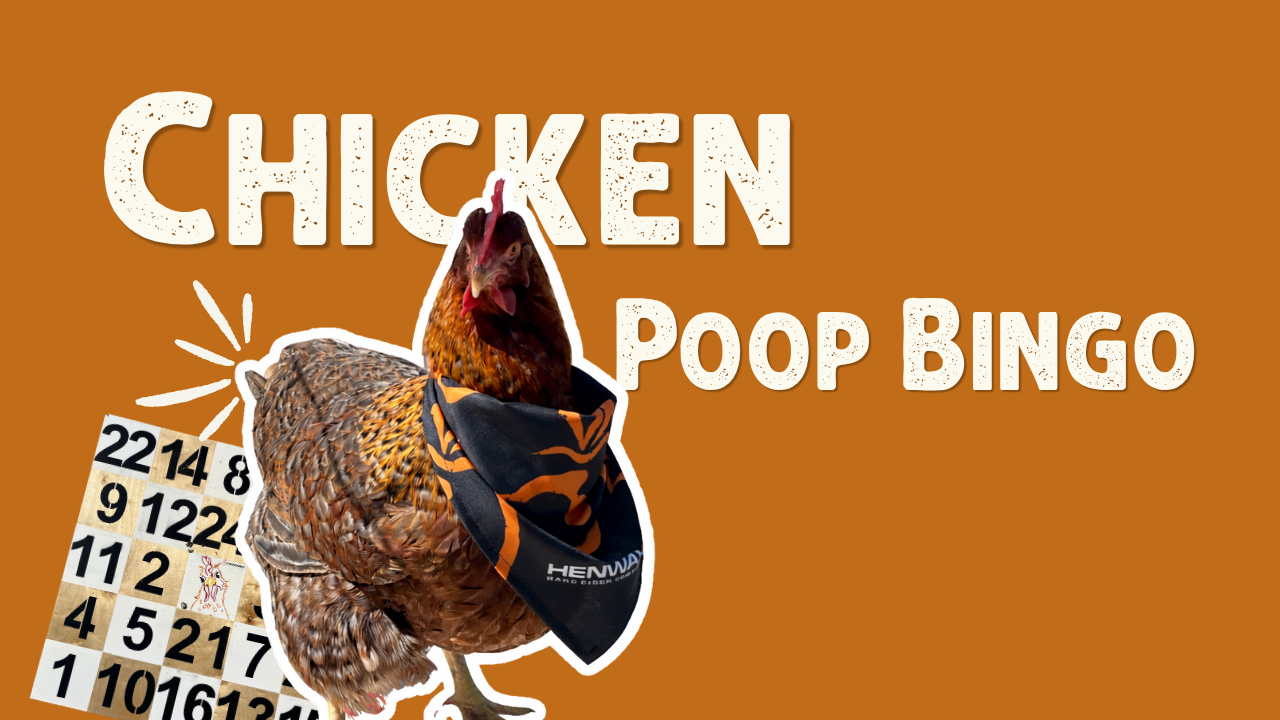 Chicken Poop Bingo
