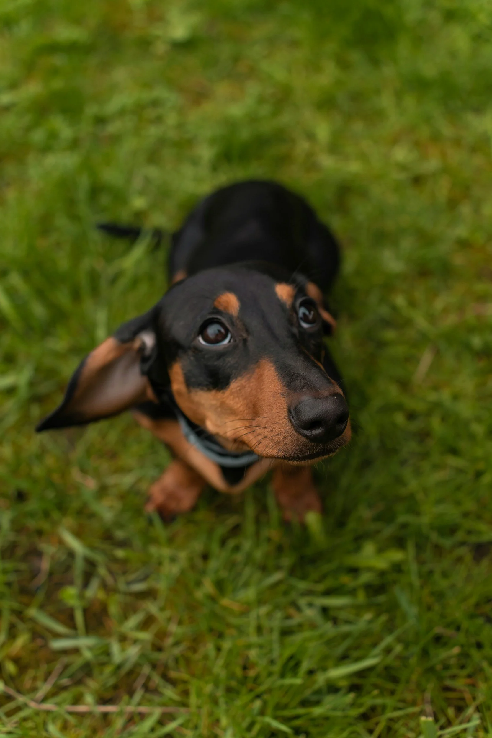 unsplash-image-1JfEL6GzBRY.jpg