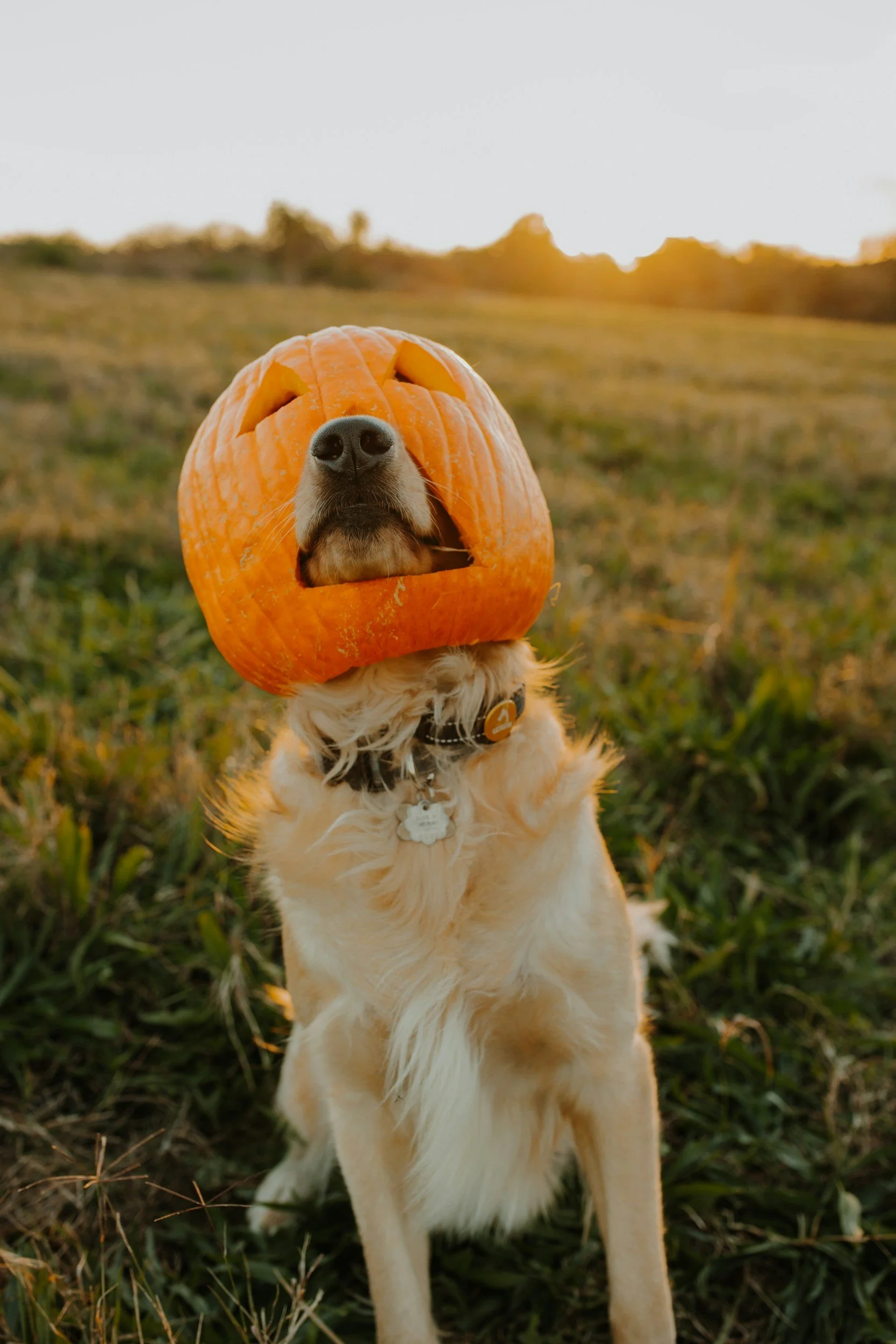 unsplash-image-t_gTJ0qiSEM.jpg