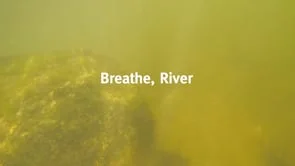 Breathe, River (2019): Teaser Video