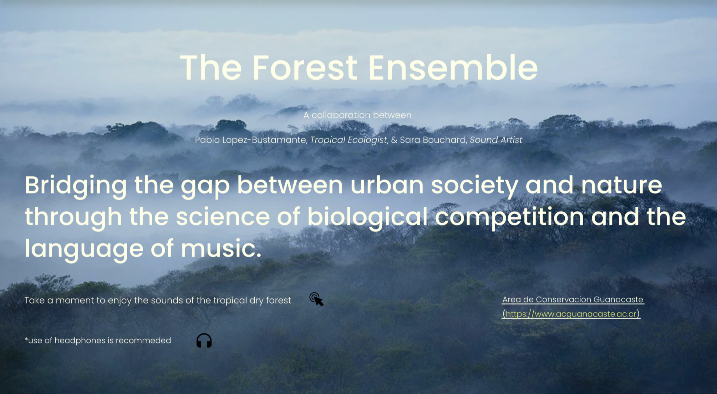 The Forest Ensemble:  Collaboration with ecologist Pablo  López-Bustamante
